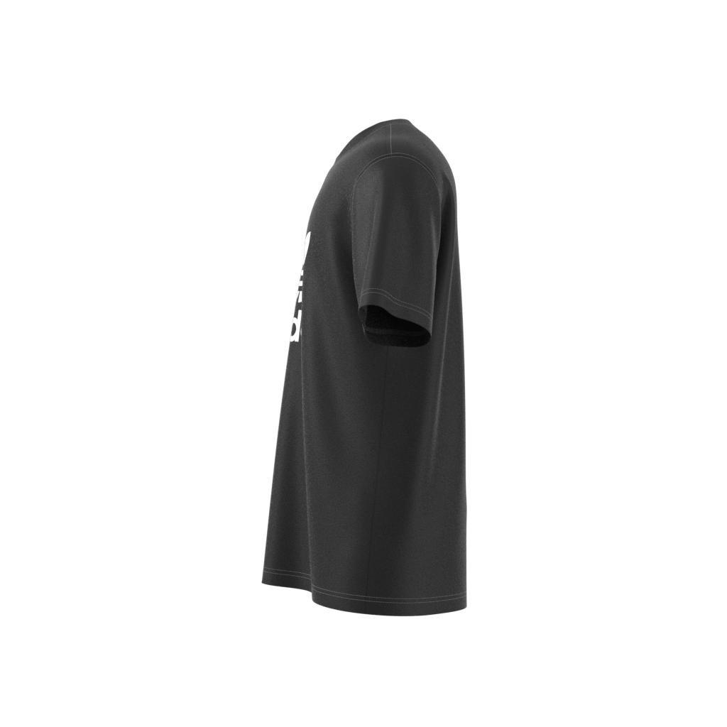 Adicolor Trefoil T-Shirt, Black, , large image number 13