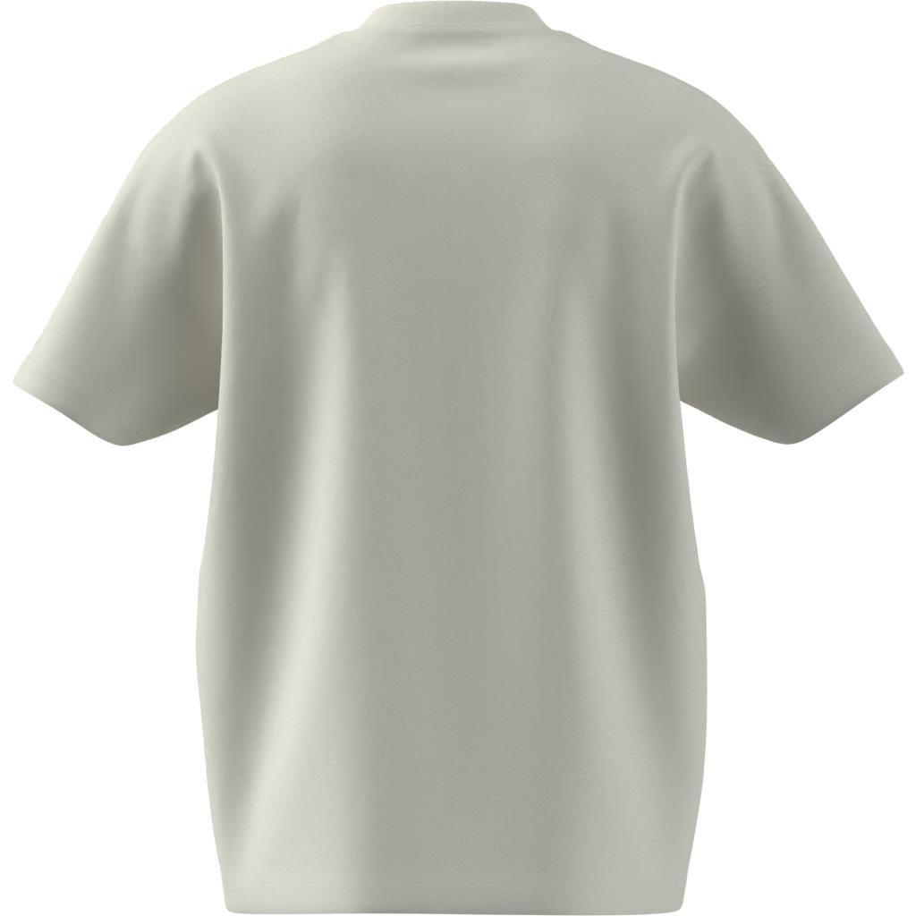 ALL SZN T-Shirt, White, , large image number 12