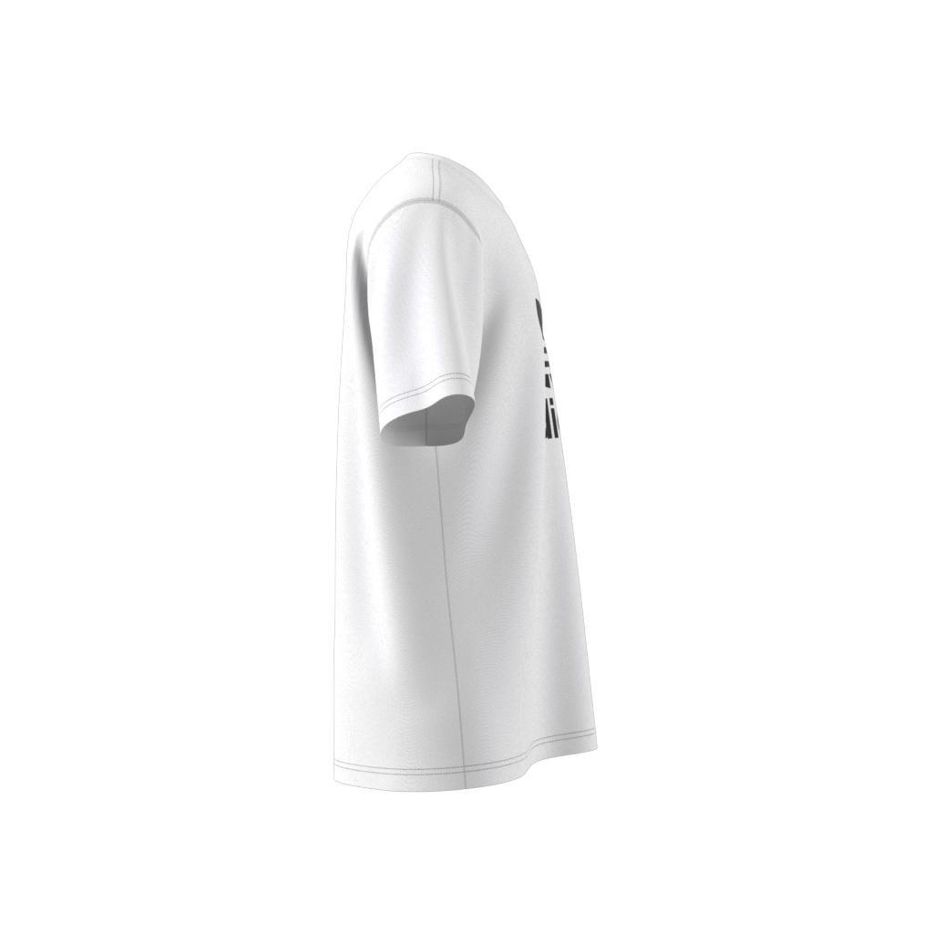 Adicolor Trefoil T-Shirt, White, , large image number 14