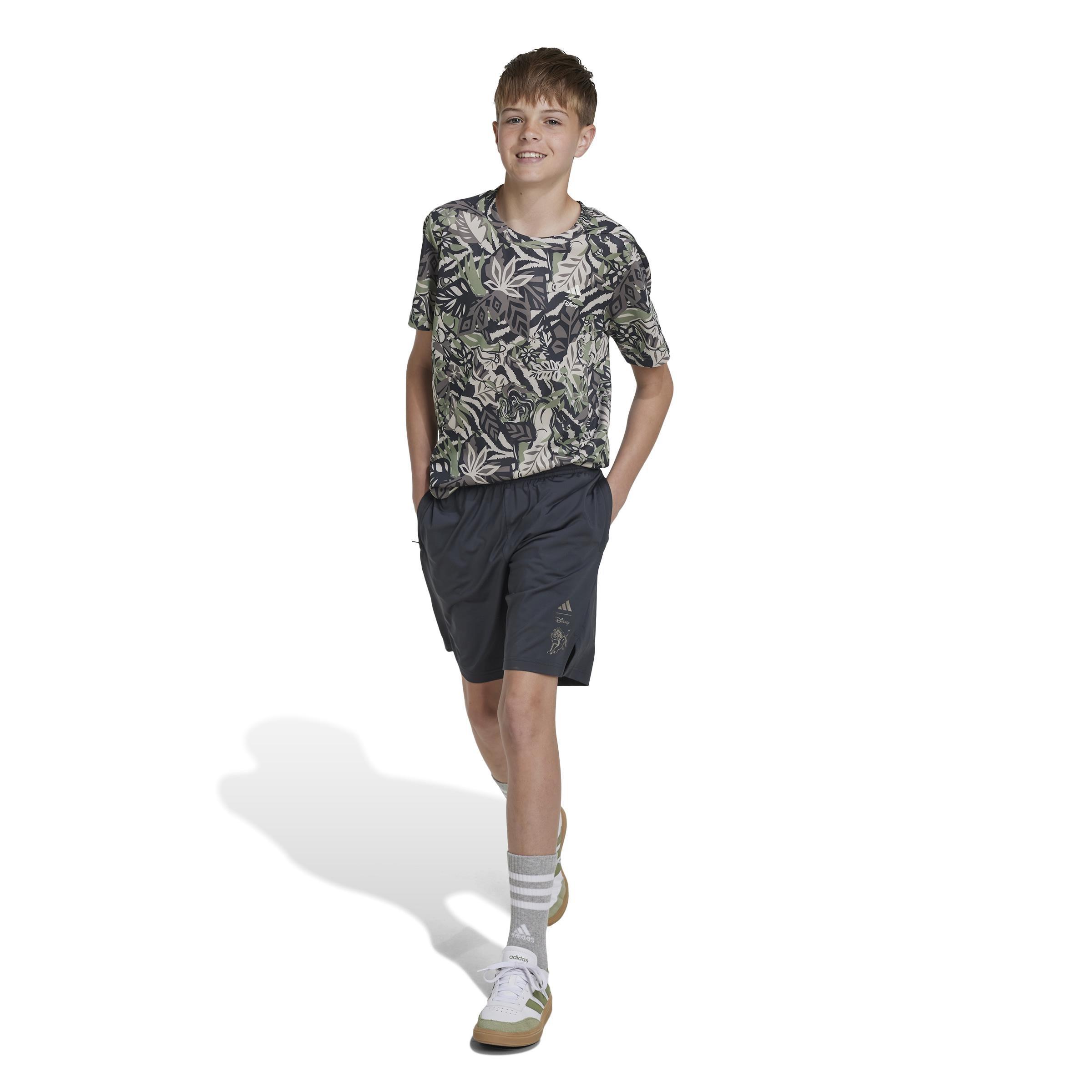 Kids Boys Disney Lion King Shorts, Grey, A701_ONE, large image number 1