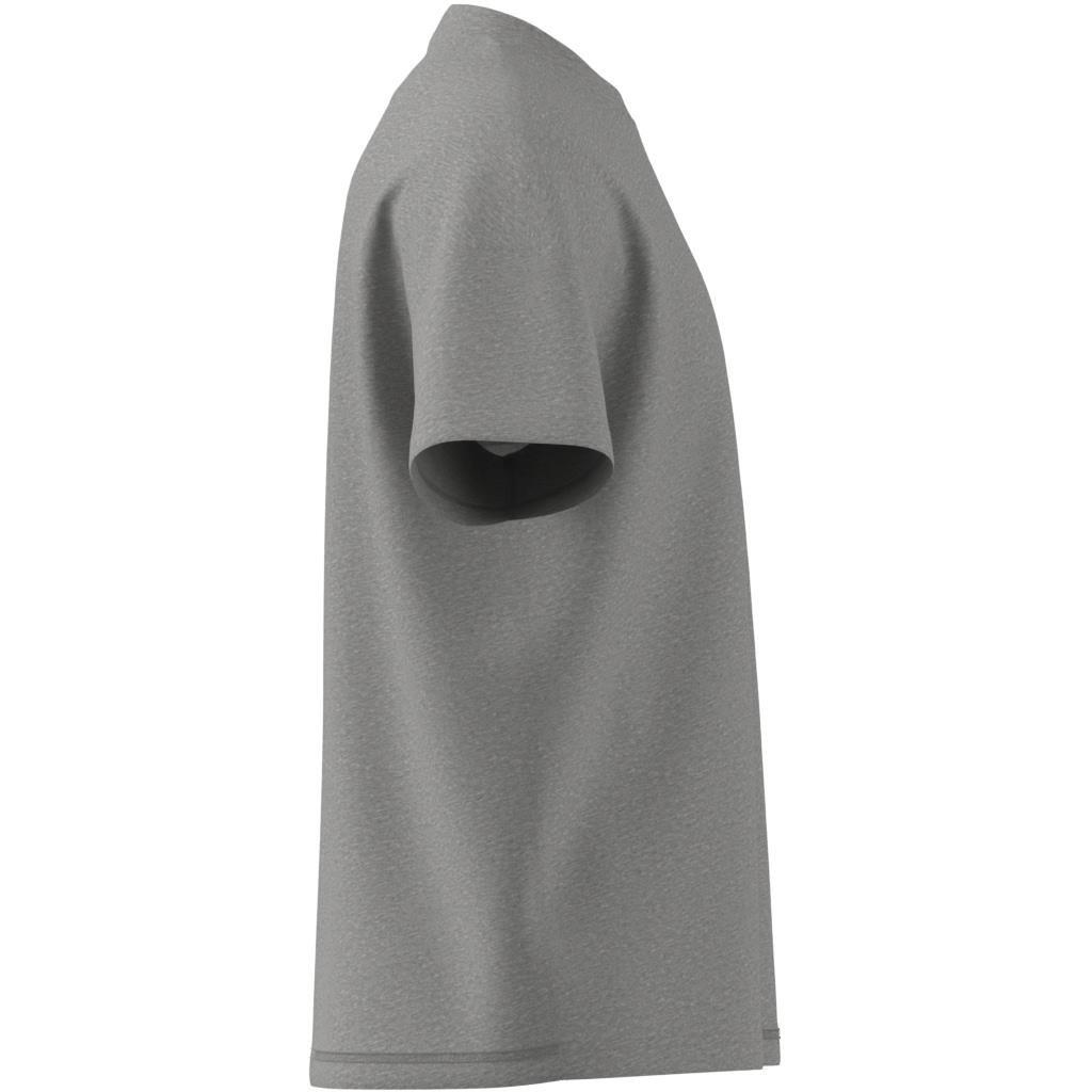 ALL SZN T-Shirt, Grey, A701_ONE, large image number 12