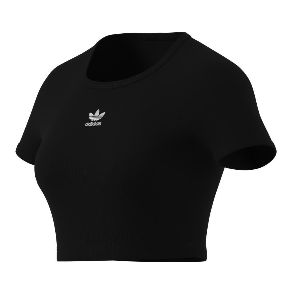 Essentials Ribbed T-Shirt, Multicolour, , large image number 12