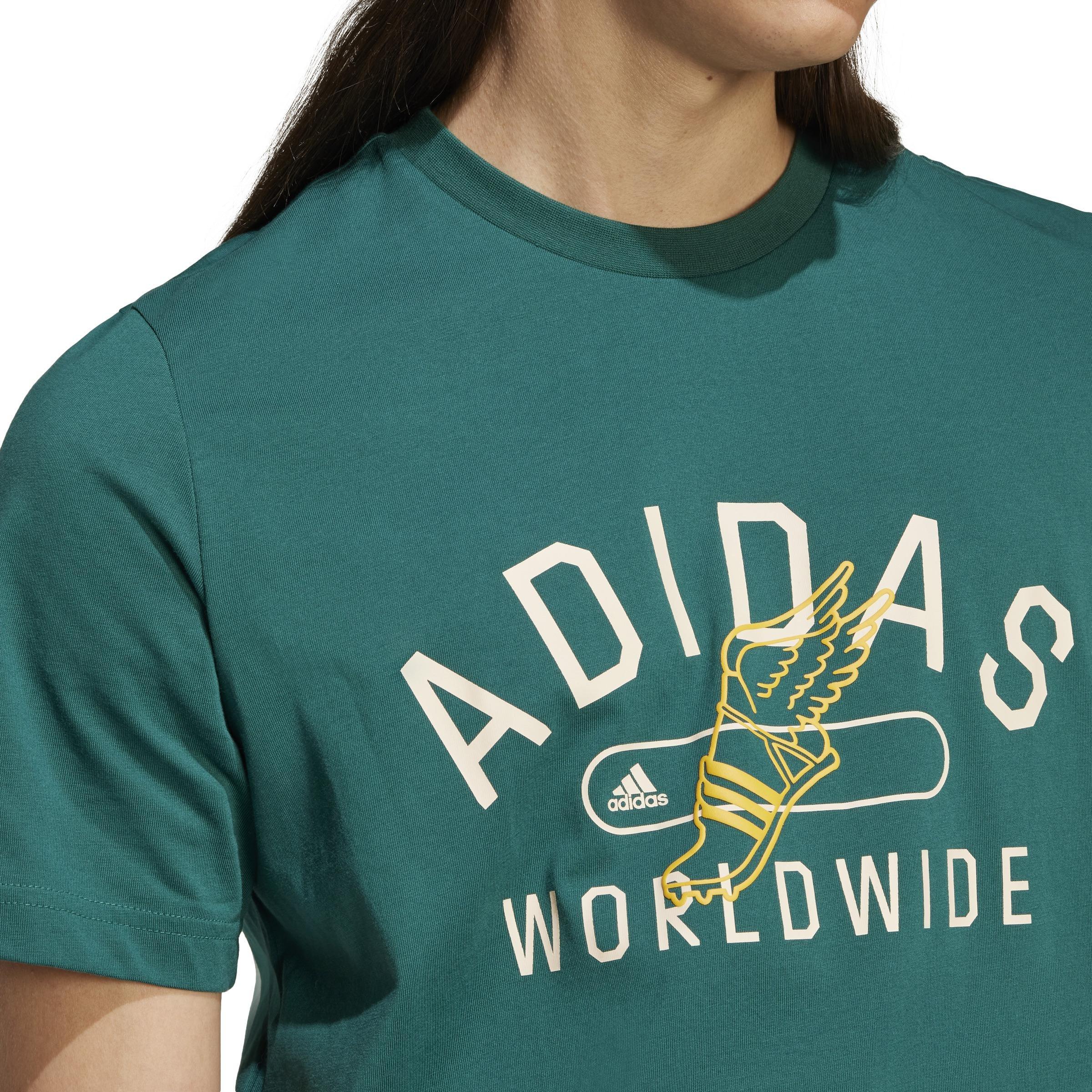 Collegiate Graphic Tee, Green, A701_ONE, large image number 5