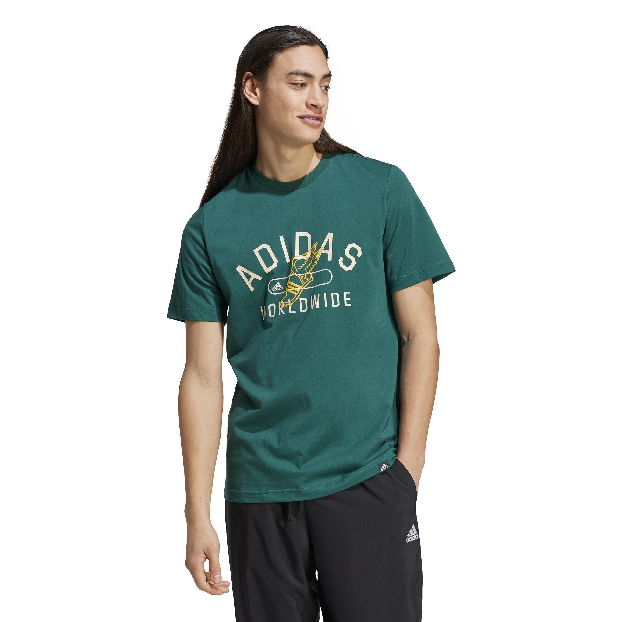 Collegiate Graphic Tee, Green, A701_ONE, large image number 6