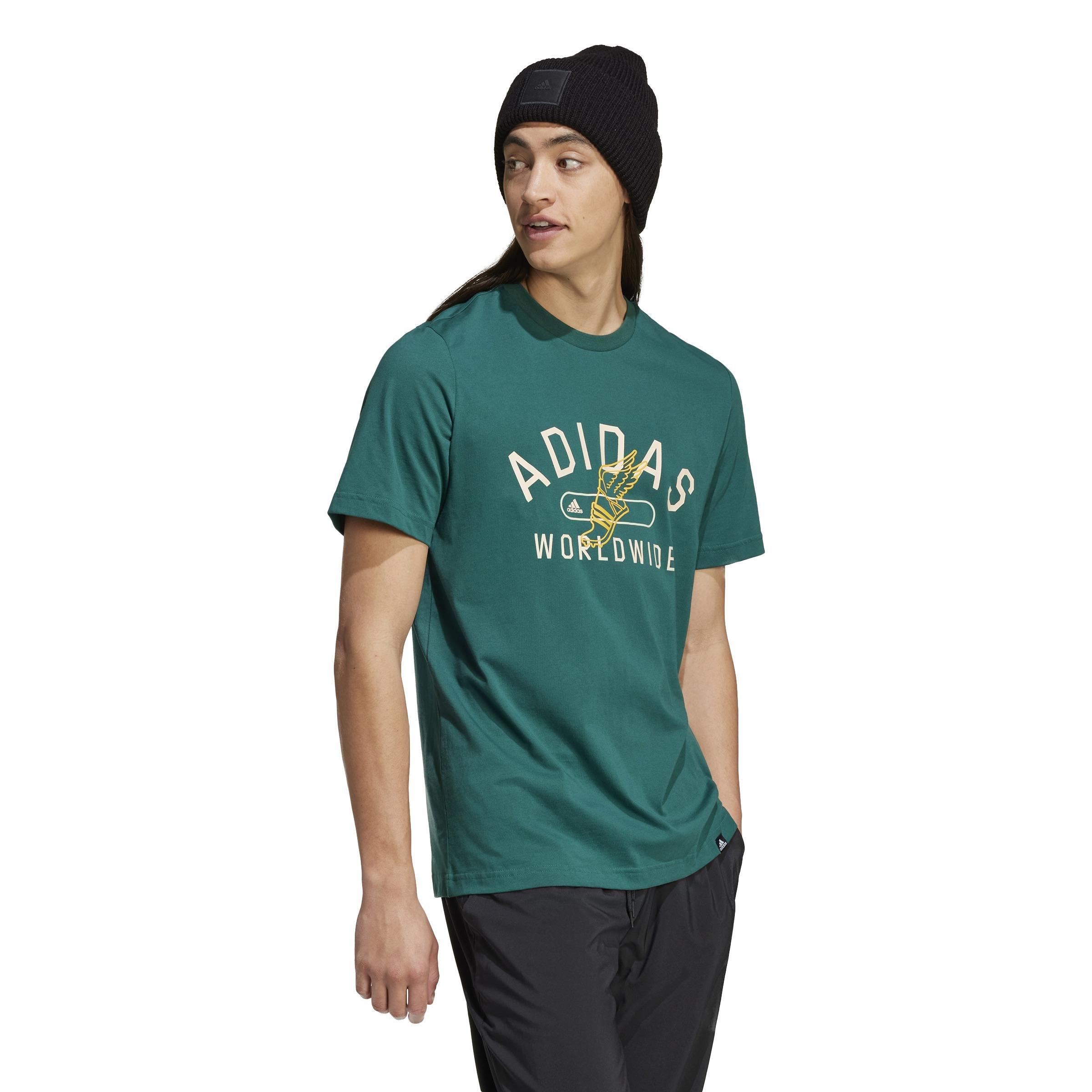 Collegiate Graphic Tee, Green, A701_ONE, large image number 7