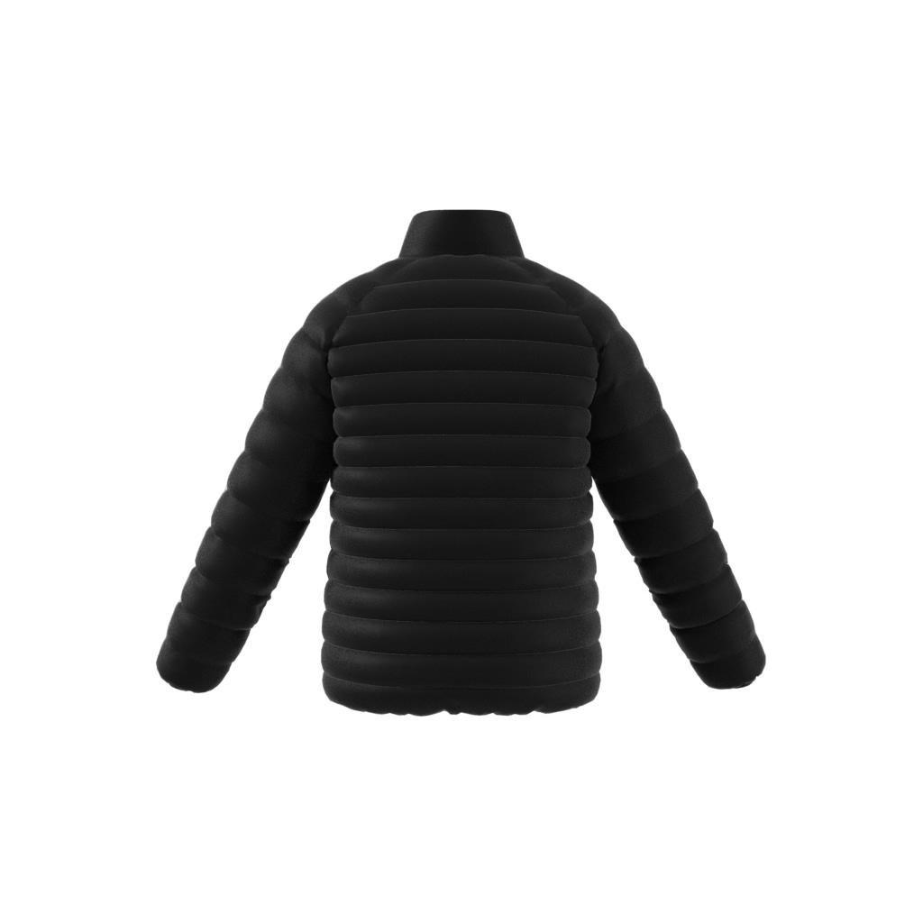 Padded Collar Jacket, Black, A701_ONE, large image number 11