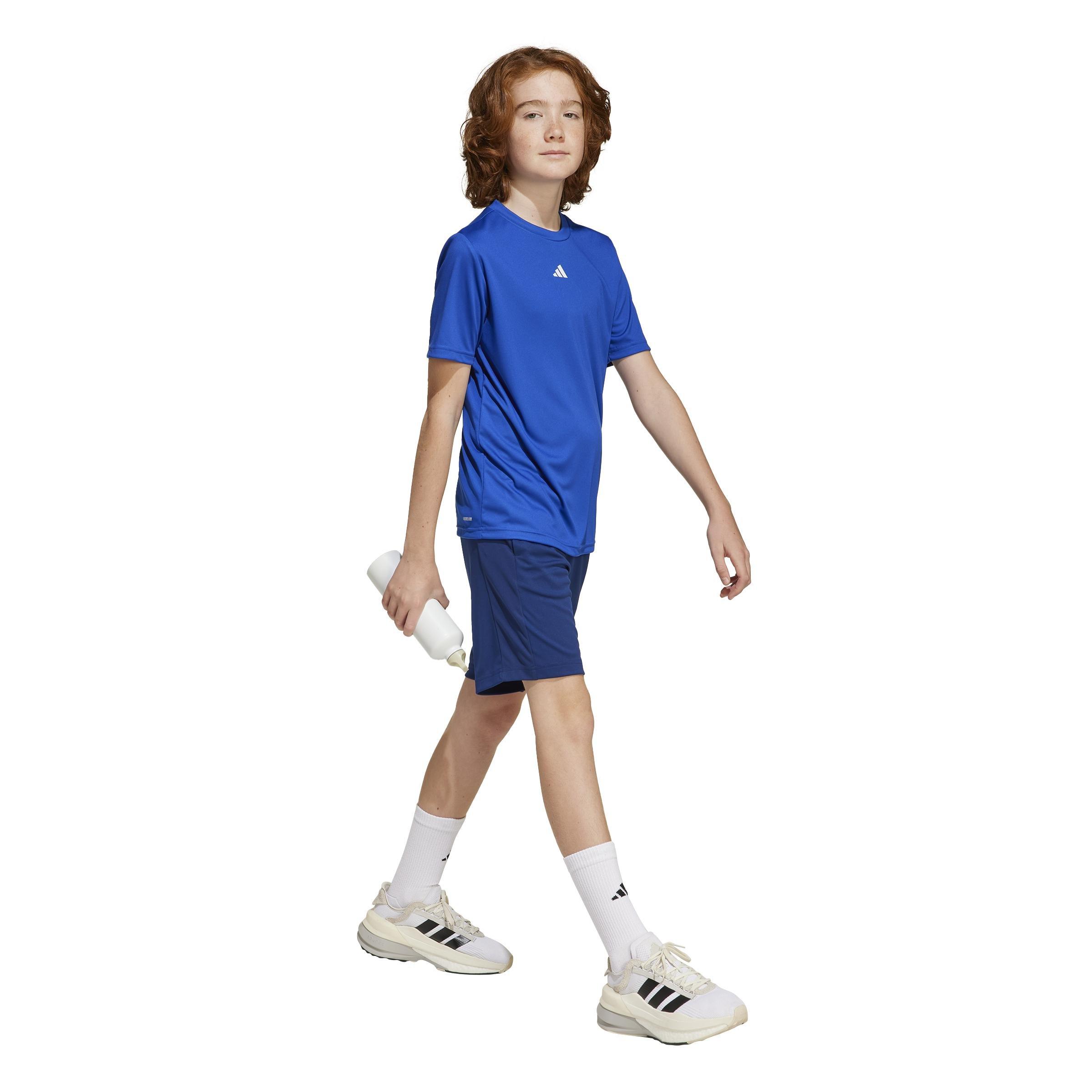Unisex Kids Train Essentials Logo Regular Fit T-Shirt, Blue, A701_ONE, large image number 6