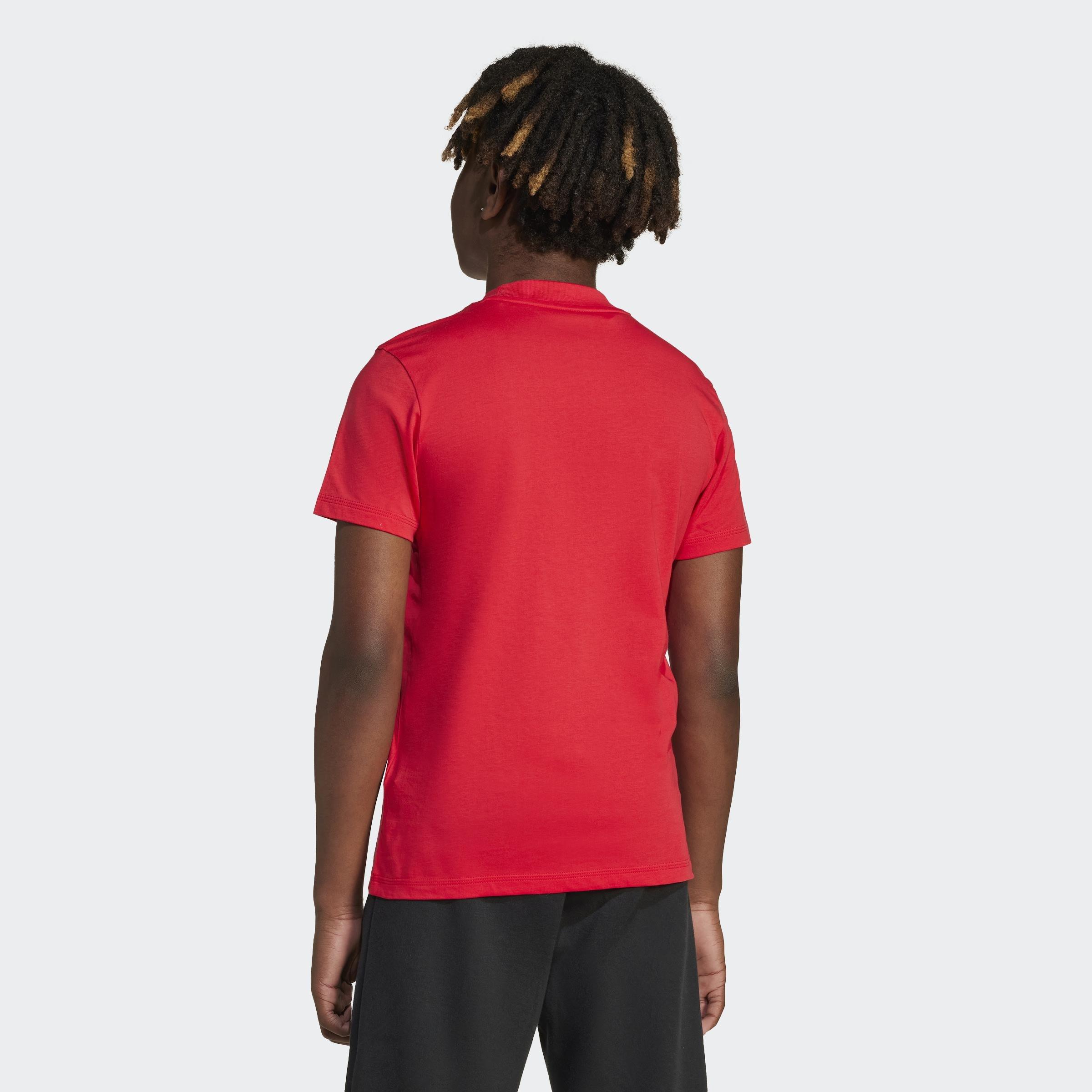 Unisex Kids Essentials T-Shirt, Red, , large image number 5