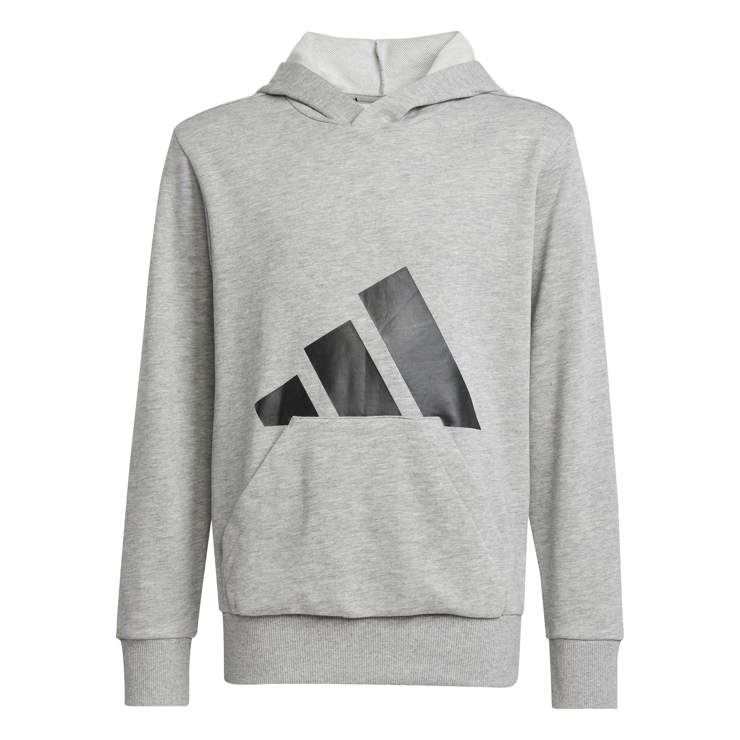 Unisex Essentials Hoodie, Grey, A701_ONE, large image number 0