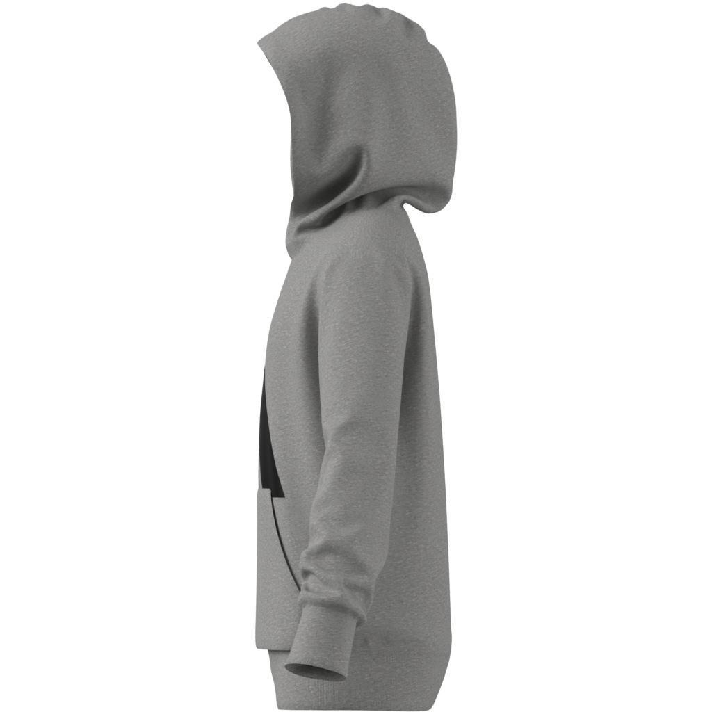 Unisex Kids Essentials Hoodie, Grey, , large image number 6