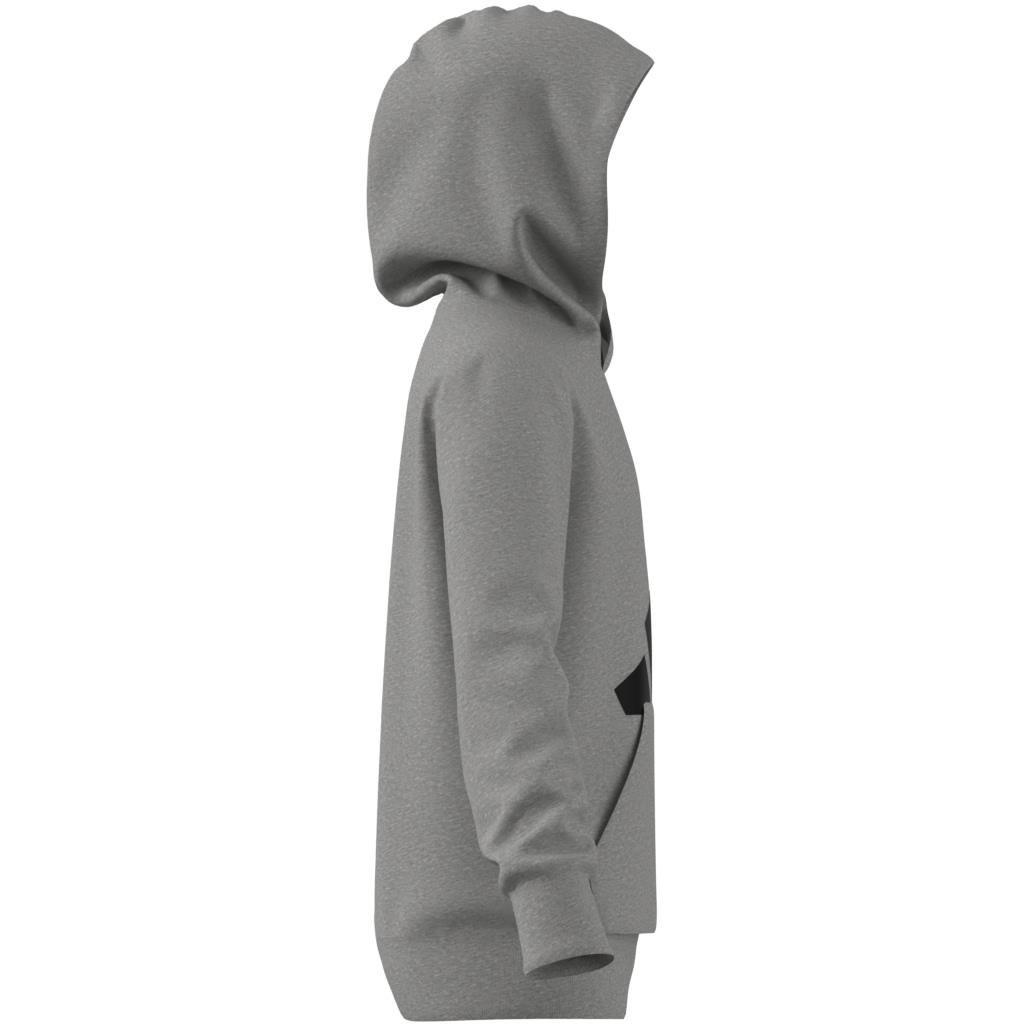 Unisex Kids Essentials Hoodie, Grey, , large image number 14