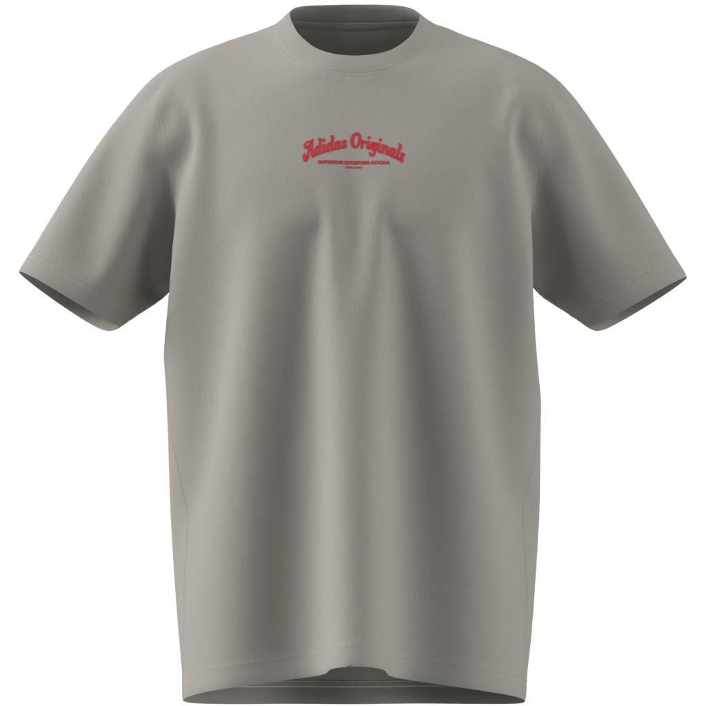 Wabash T-shirt, Grey, , large image number 9