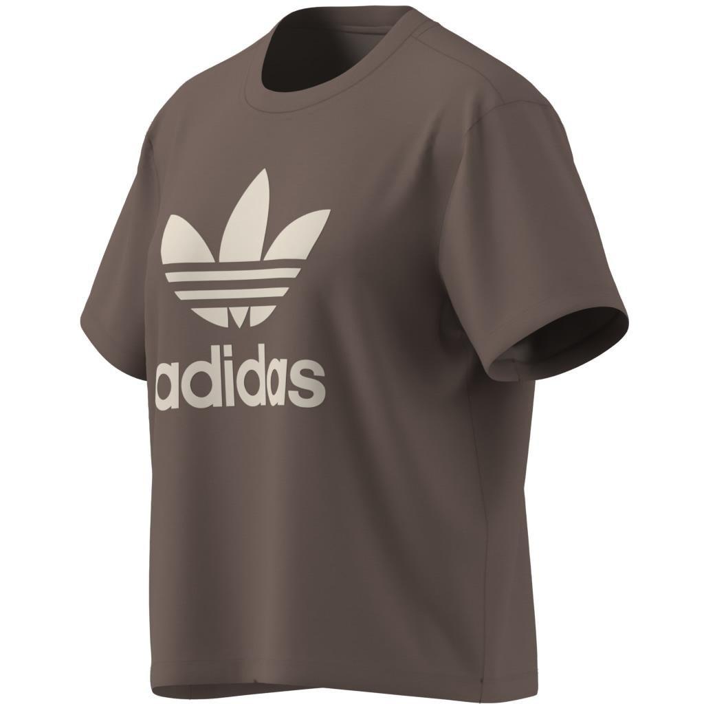 Adicolor Trefoil Boxy T-Shirt, Brown, , large image number 13
