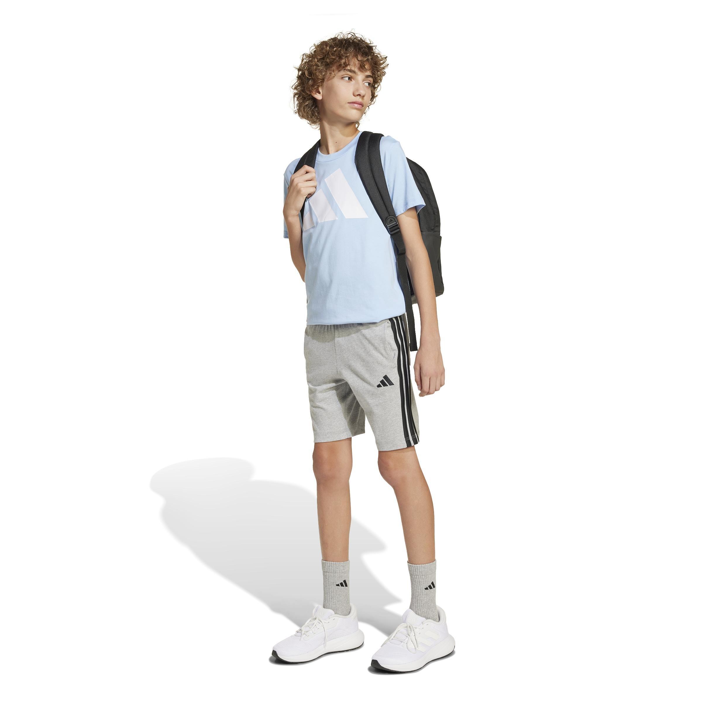 Unisex Essentials Shorts Kids, Grey, A701_ONE, large image number 13