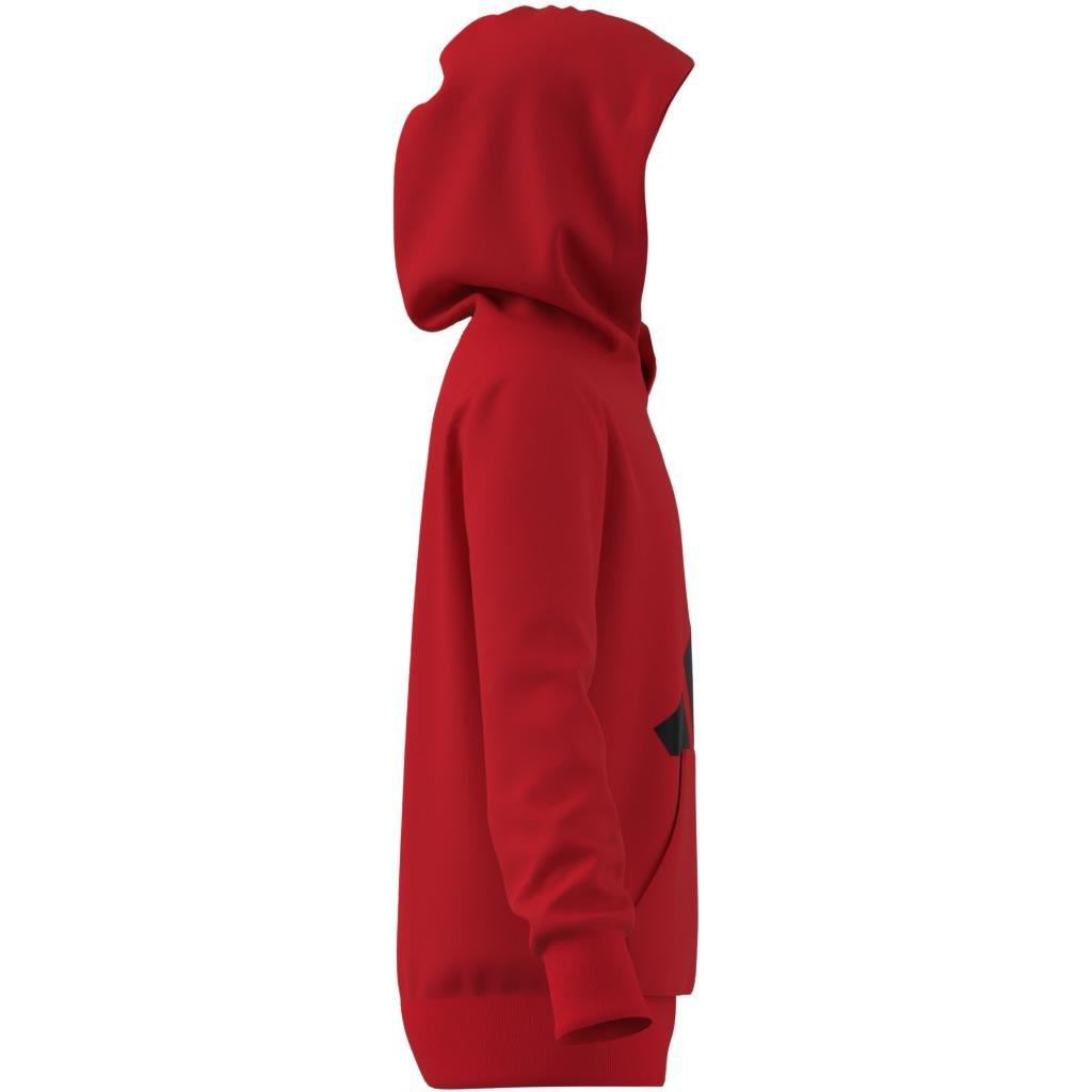 Unisex Kids Essentials Hoodie, Red, , large image number 13