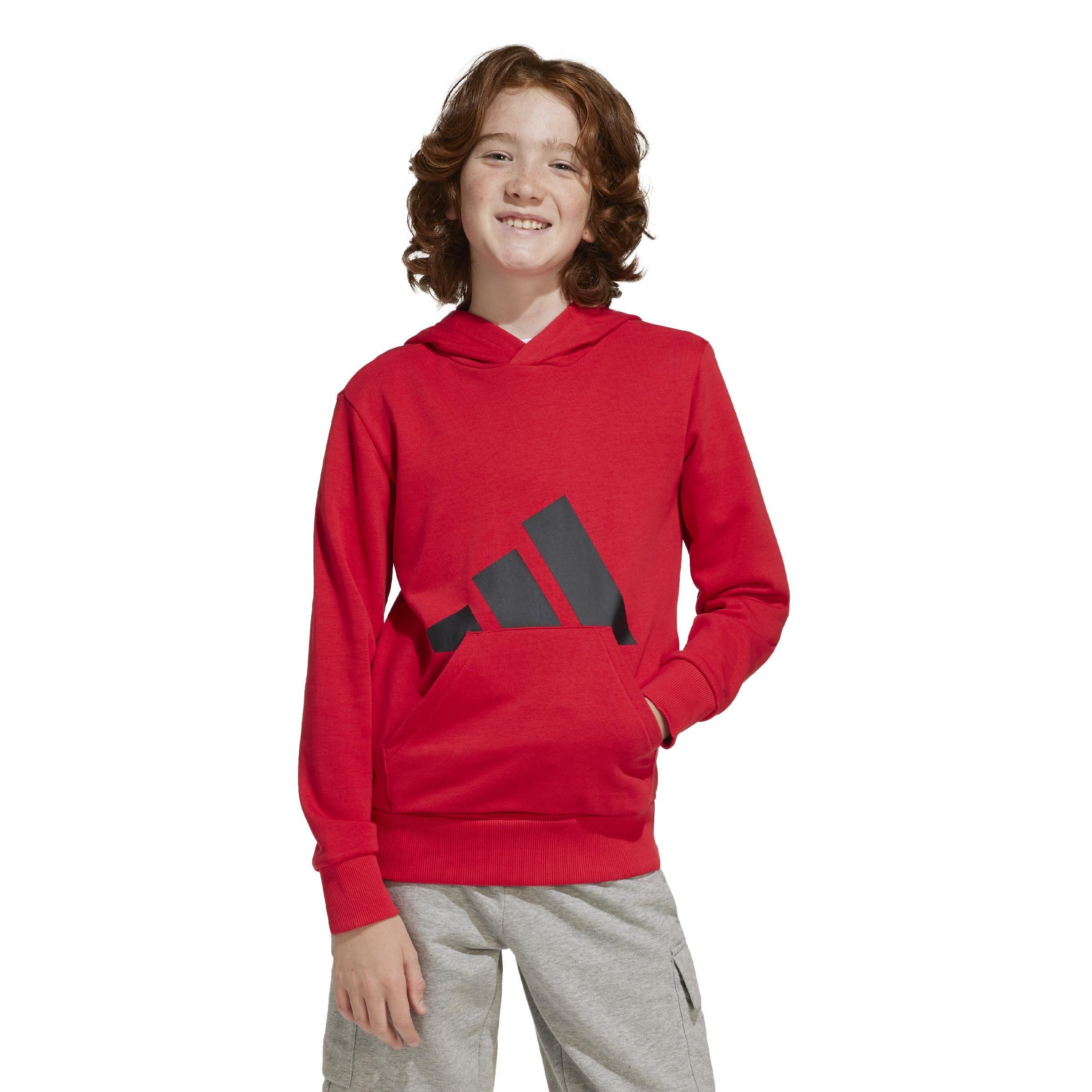Unisex Kids Essentials Hoodie, Red, , large image number 14