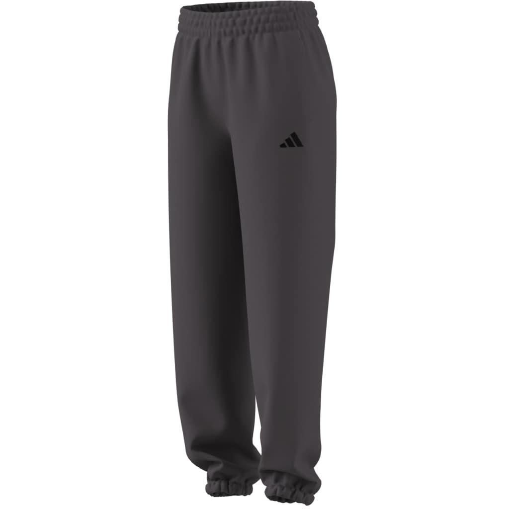 Future Icons Small Logo Pants, Grey, A701_ONE, large image number 8