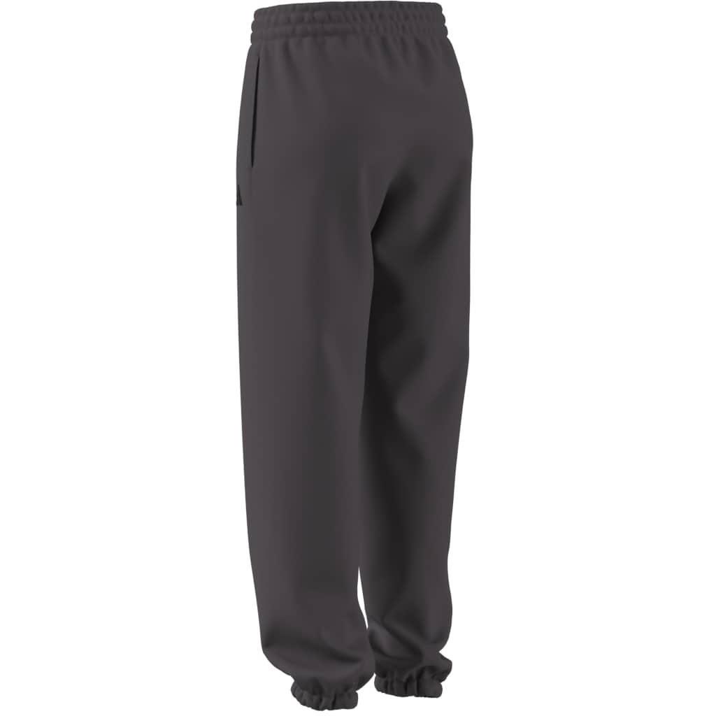 Future Icons Small Logo Pants, Grey, A701_ONE, large image number 12