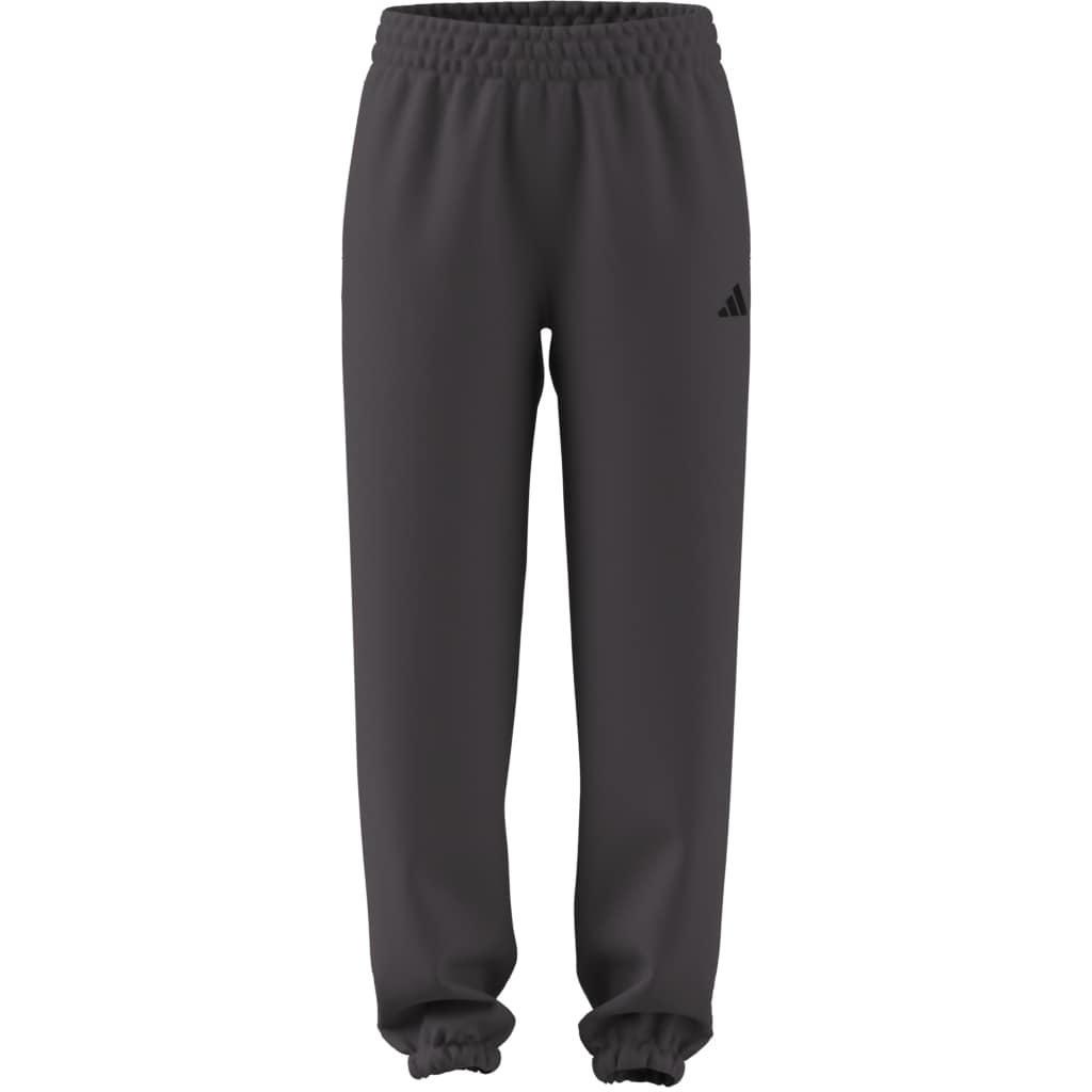 Future Icons Small Logo Pants, Grey, A701_ONE, large image number 13