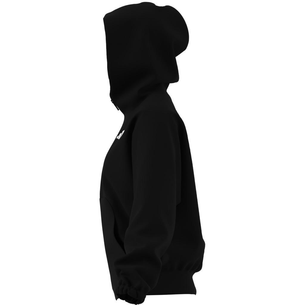 Future Icons Small Logo Full-Zip Hoodie, Black, , large image number 14