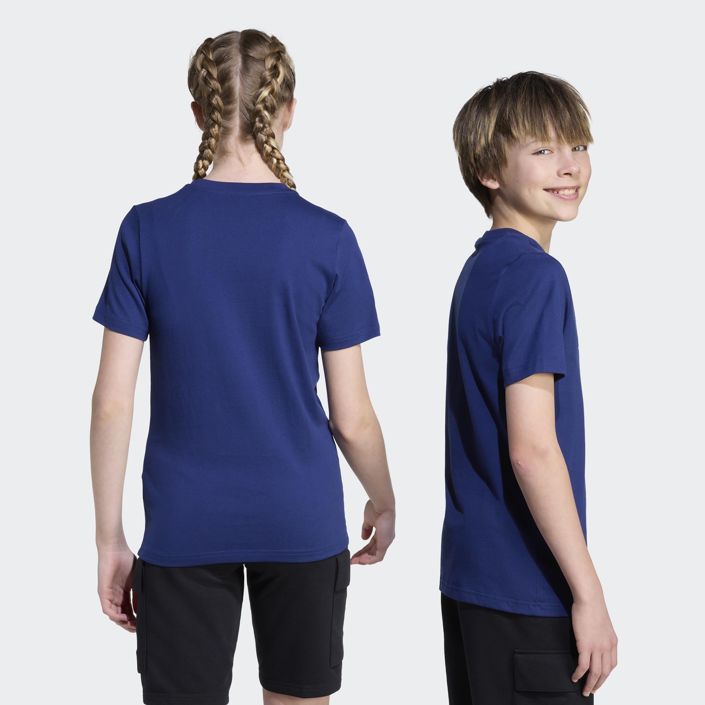 Kids Unisex Collegiate Graphic T-Shirt, Blue, A701_ONE, large image number 2
