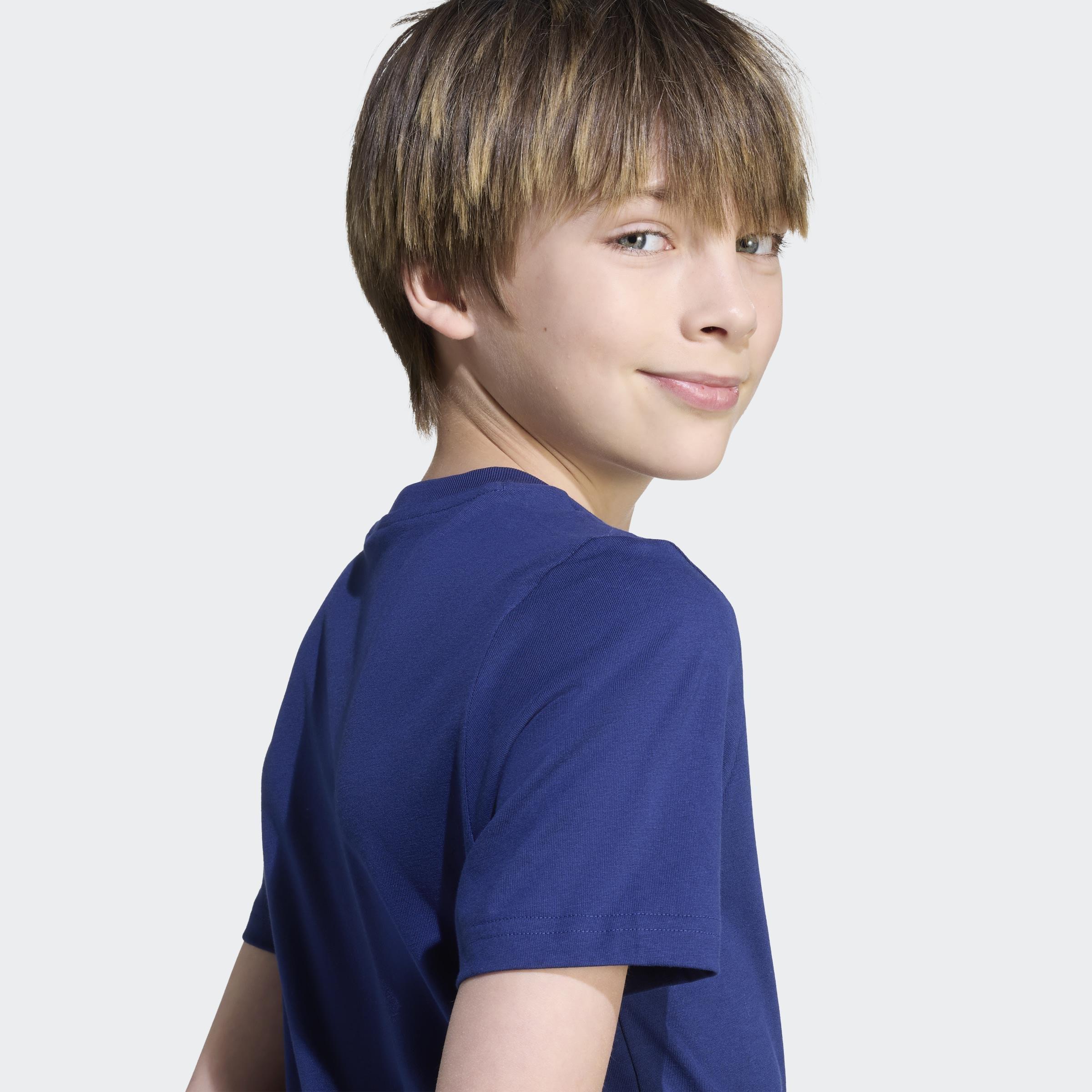 Kids Unisex Collegiate Graphic T-Shirt, Blue, A701_ONE, large image number 4