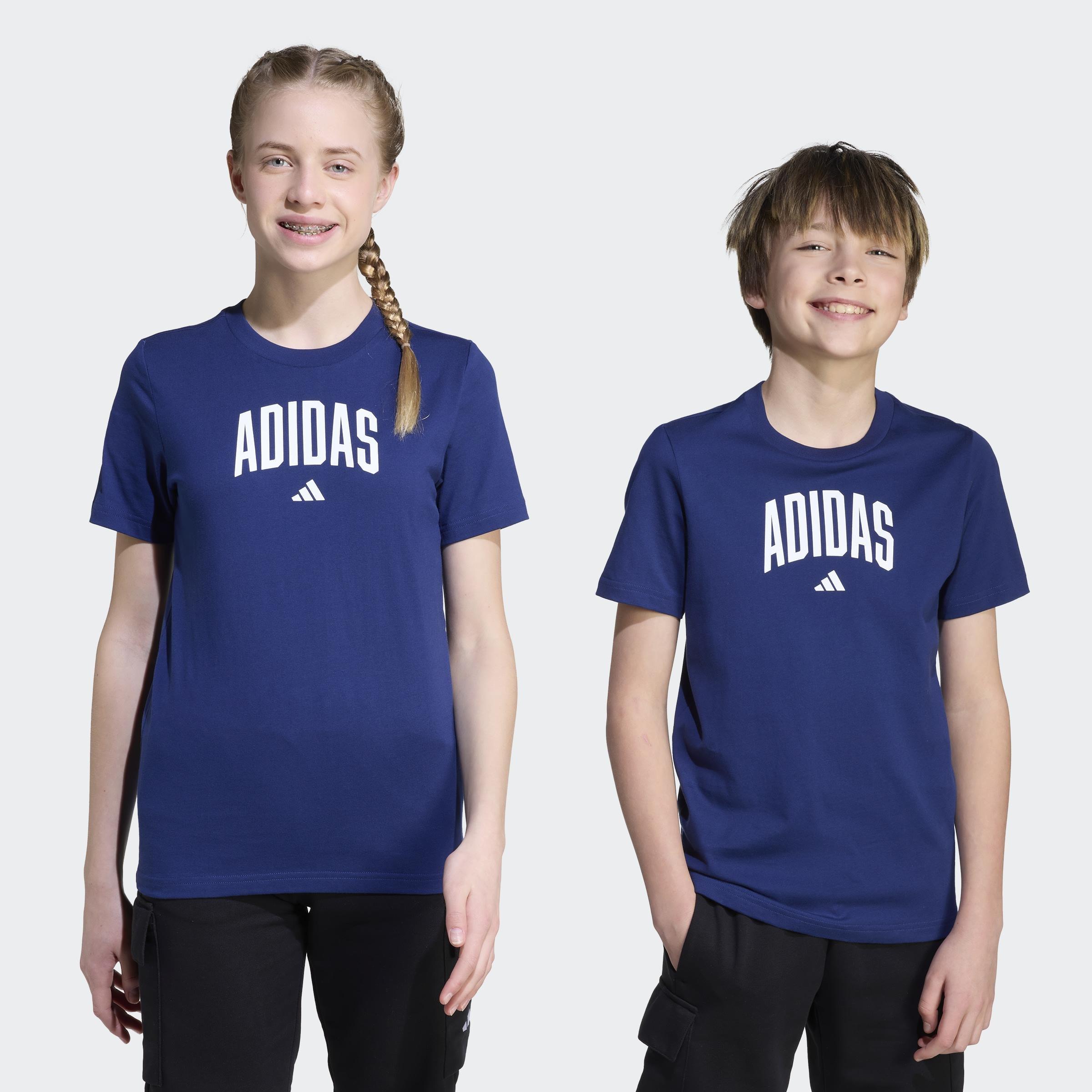 Kids Unisex Collegiate Graphic T-Shirt, Blue, A701_ONE, large image number 5