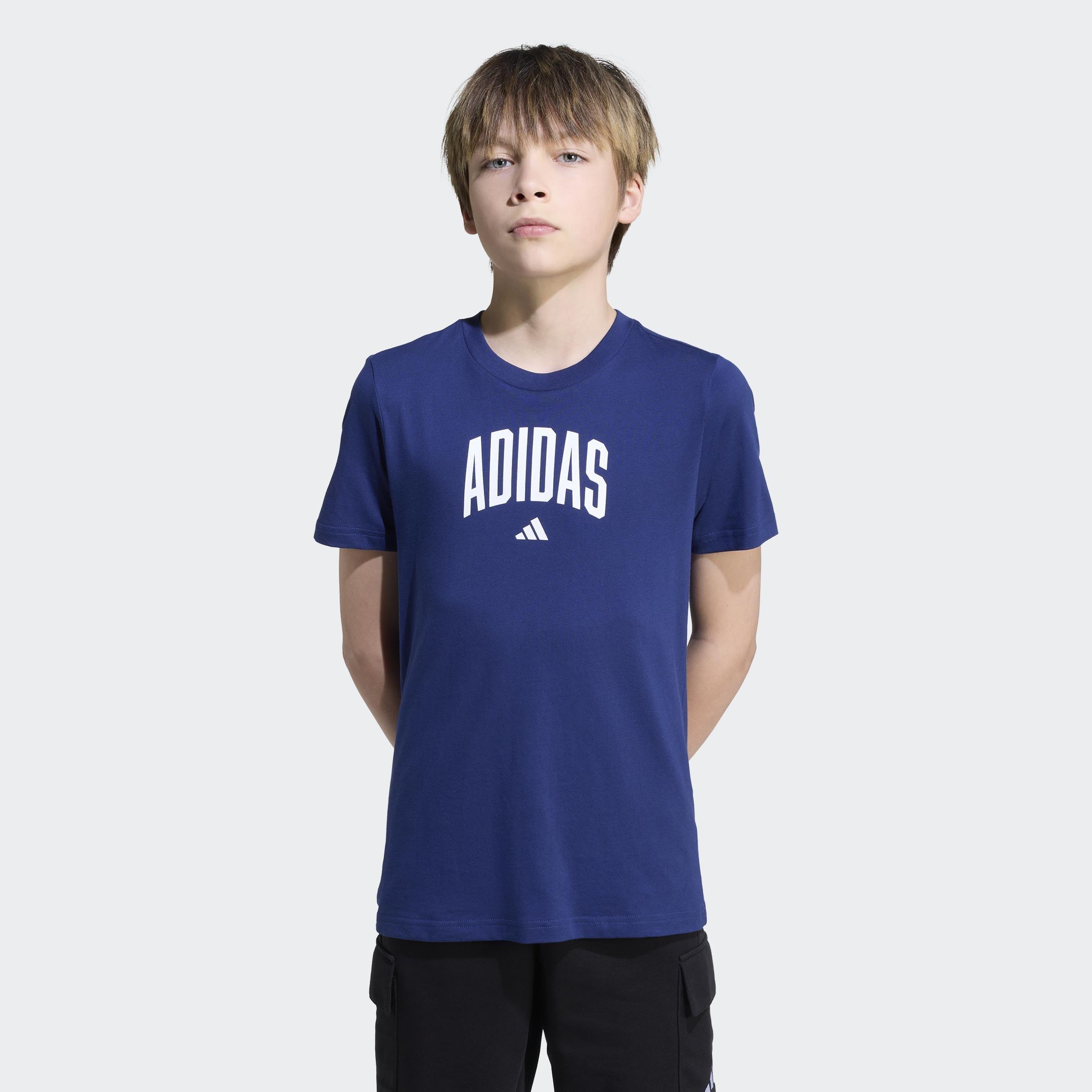 Kids Unisex Collegiate Graphic T-Shirt, Blue, A701_ONE, large image number 6