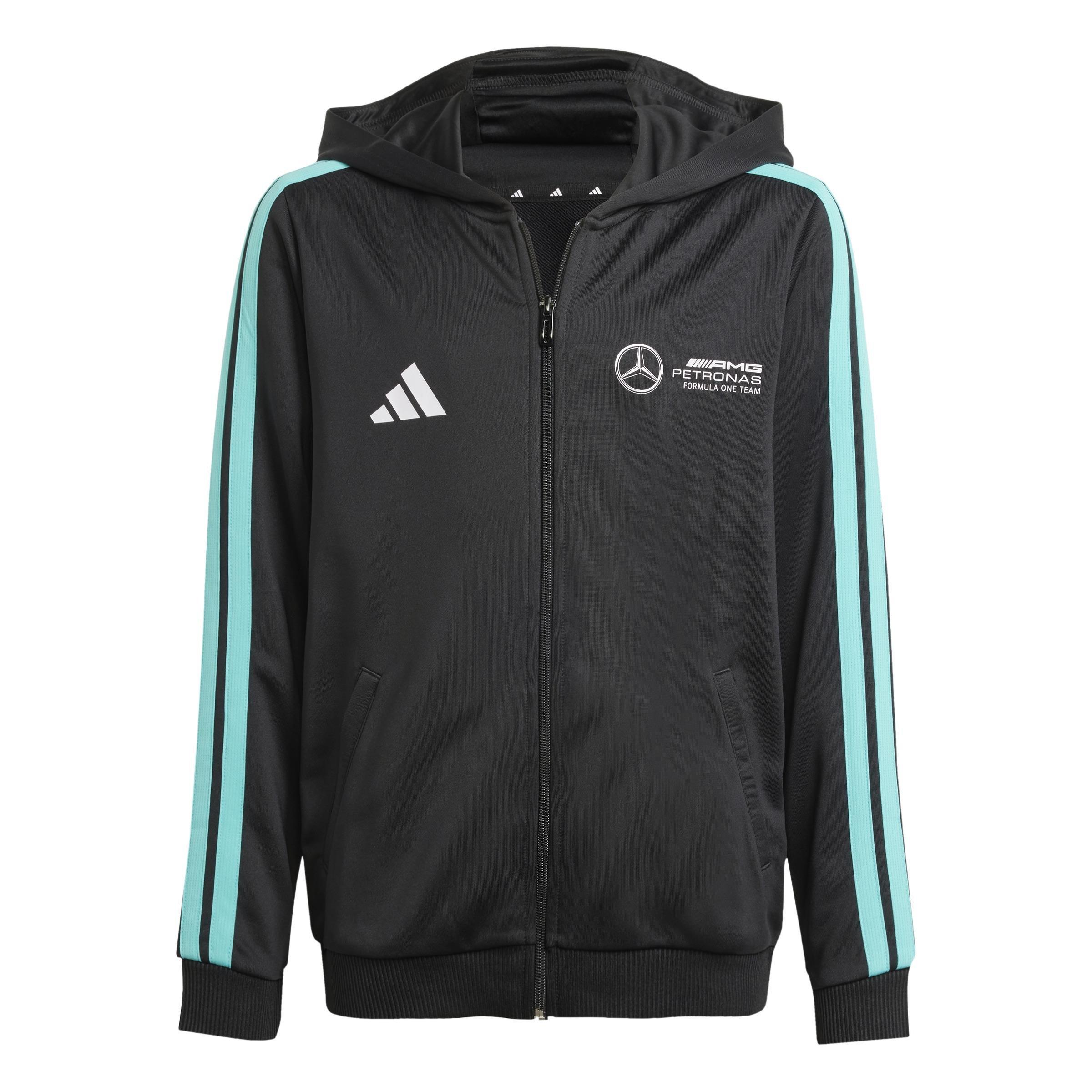 Kids Mercedes - AMG Petronas Formula One Team Dna Full Zip Hood, Black, , large image number 0