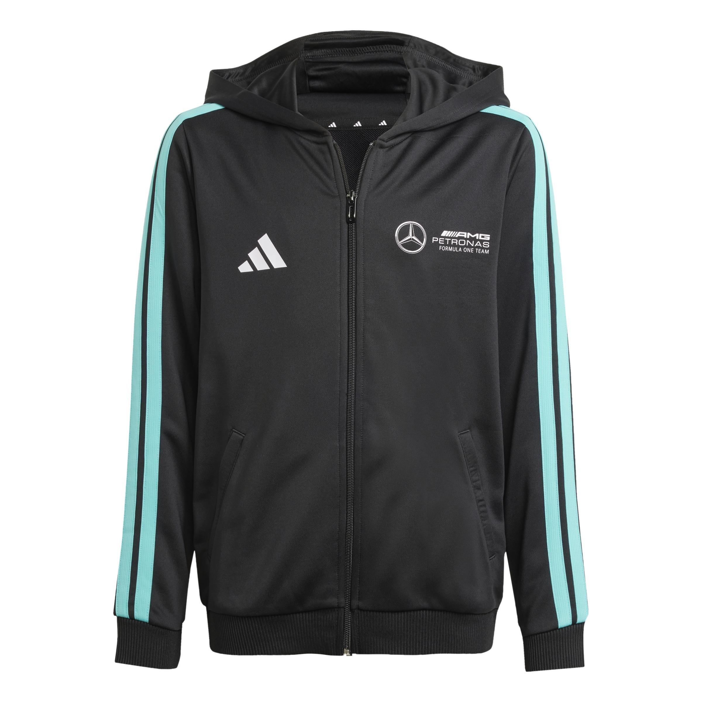 Kids Mercedes - AMG Petronas Formula One Team Dna Full Zip Hood, Black, , large image number 1