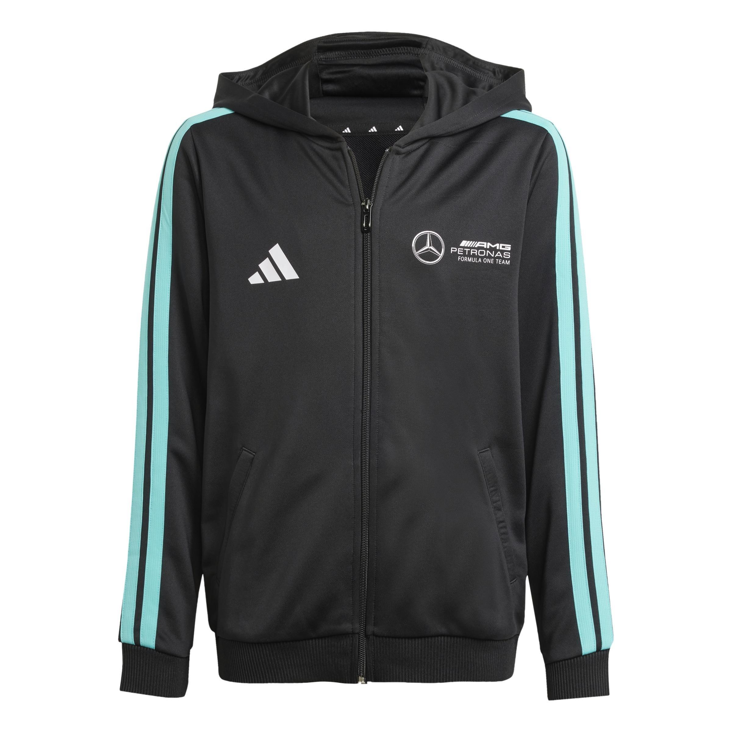 Mercedes - AMG Petronas Formula One Team DNA Full Zip Hood, Black, A701_ONE, large image number 1