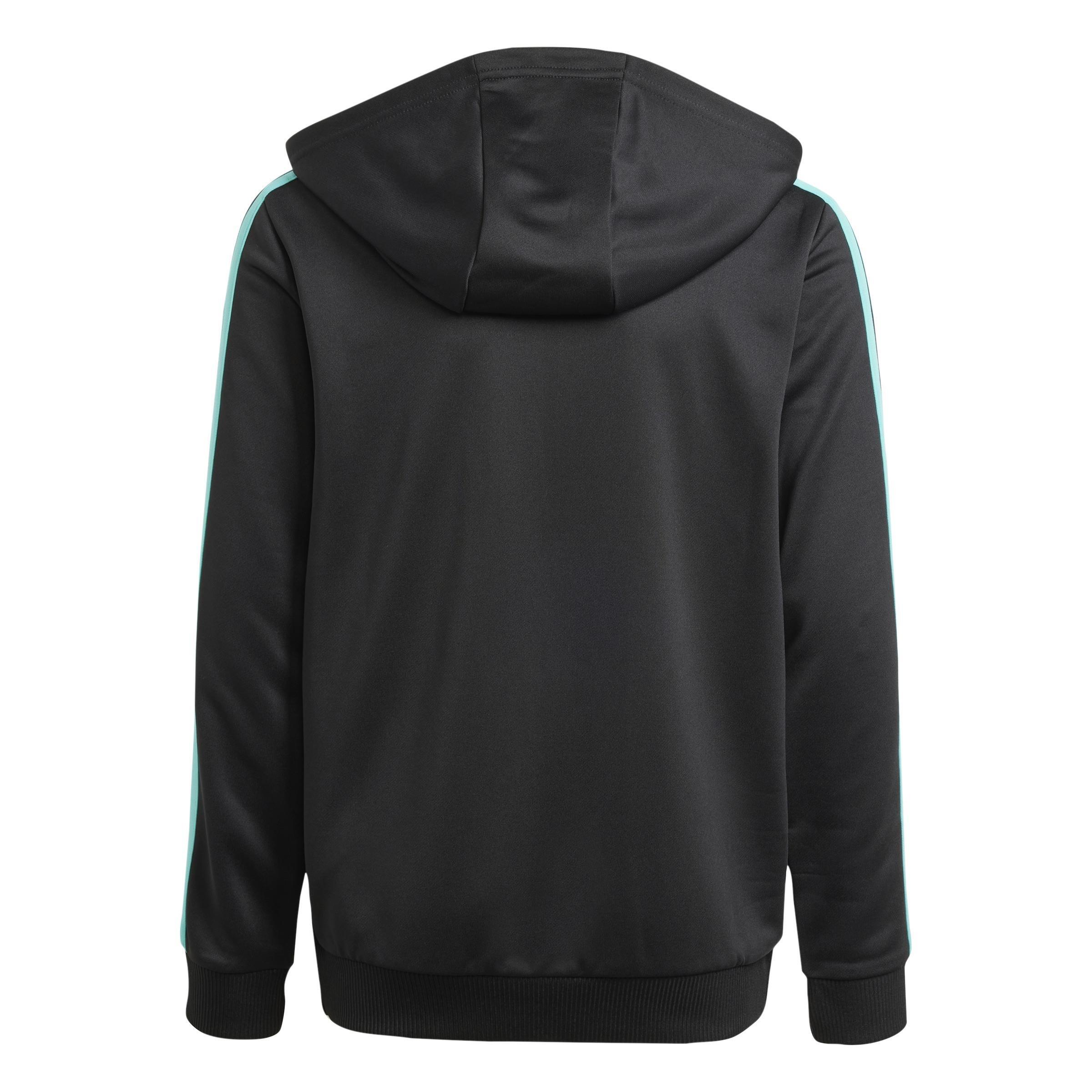 Mercedes - AMG Petronas Formula One Team DNA Full Zip Hood, Black, A701_ONE, large image number 2