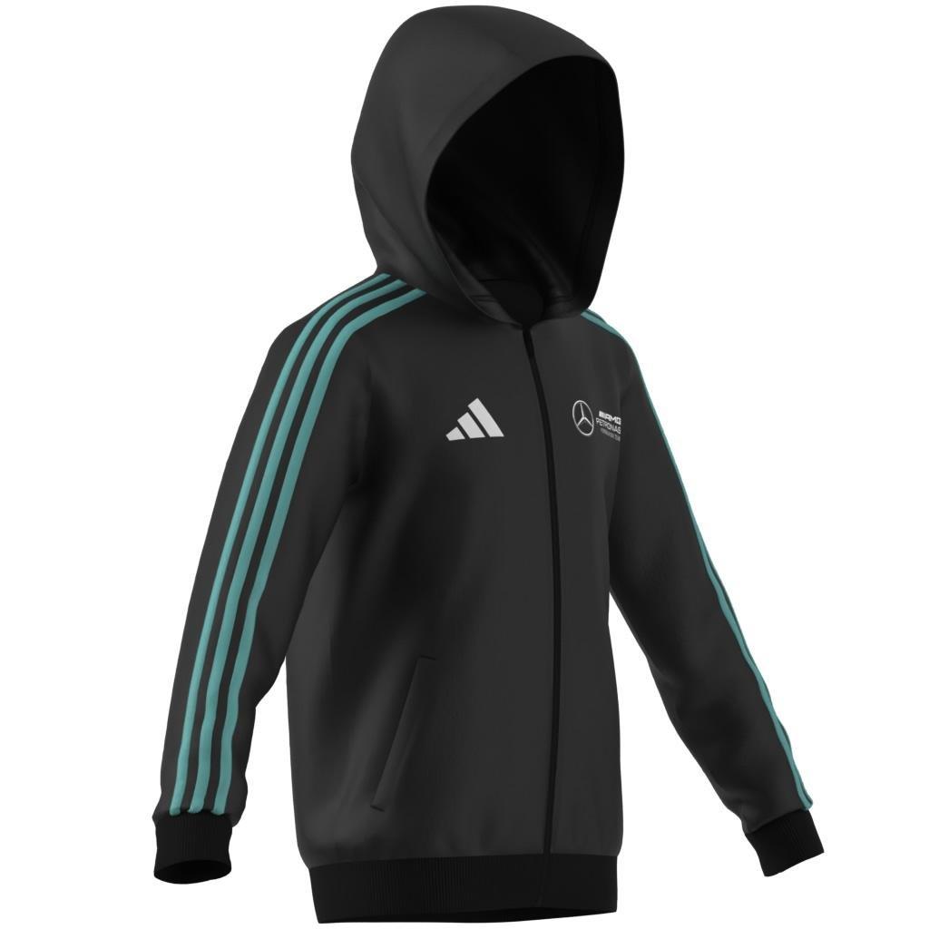 Mercedes - AMG Petronas Formula One Team DNA Full Zip Hood, Black, A701_ONE, large image number 6