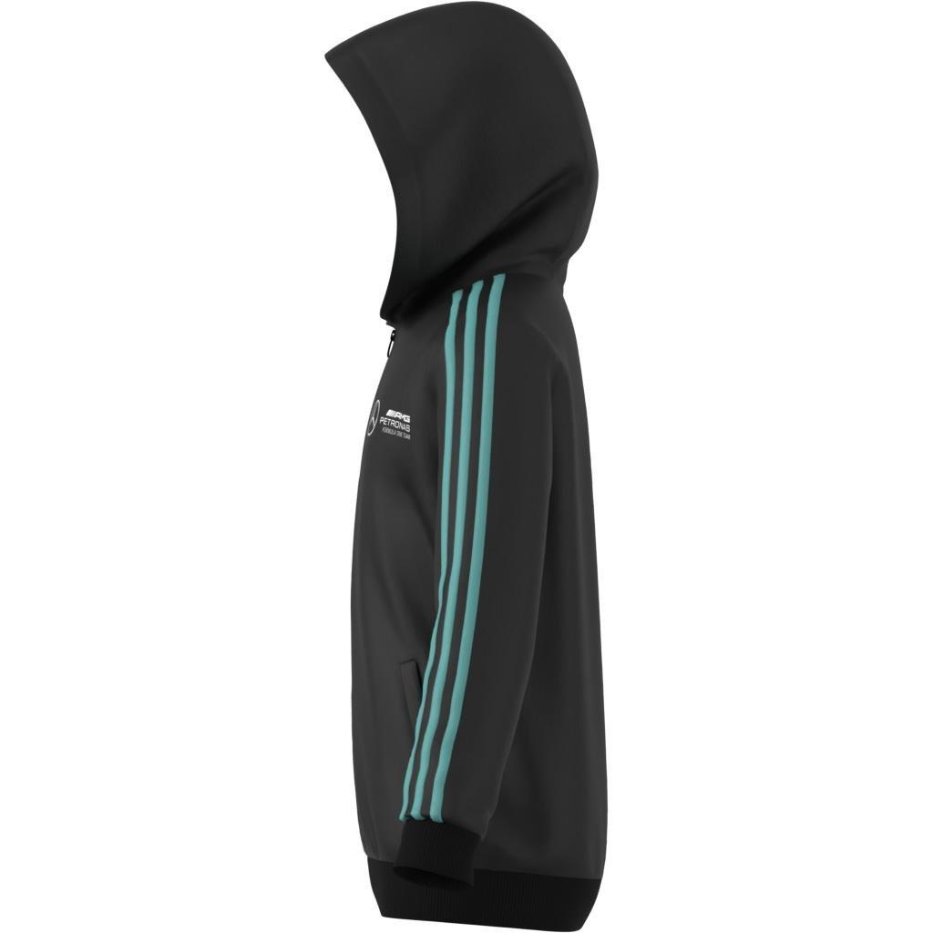 Kids Mercedes - AMG Petronas Formula One Team Dna Full Zip Hood, Black, , large image number 11
