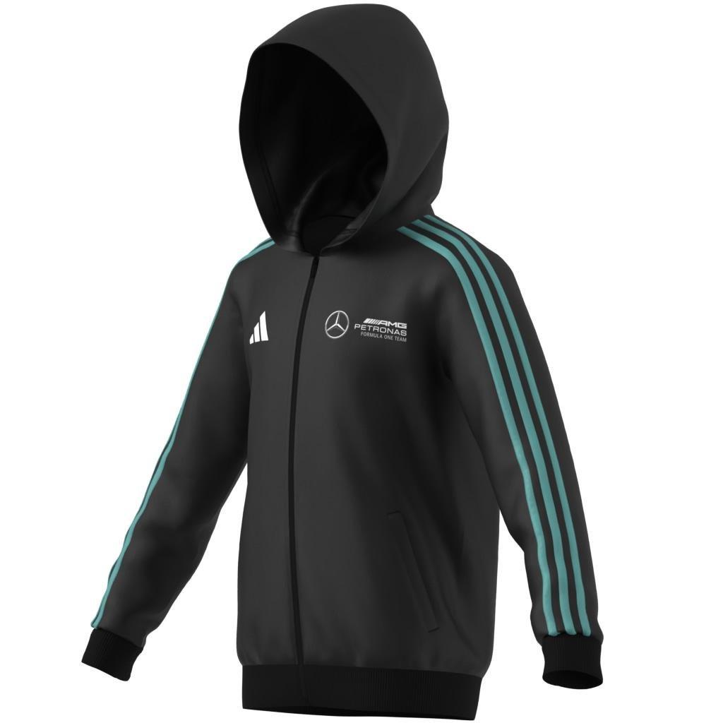 Mercedes - AMG Petronas Formula One Team DNA Full Zip Hood, Black, A701_ONE, large image number 13