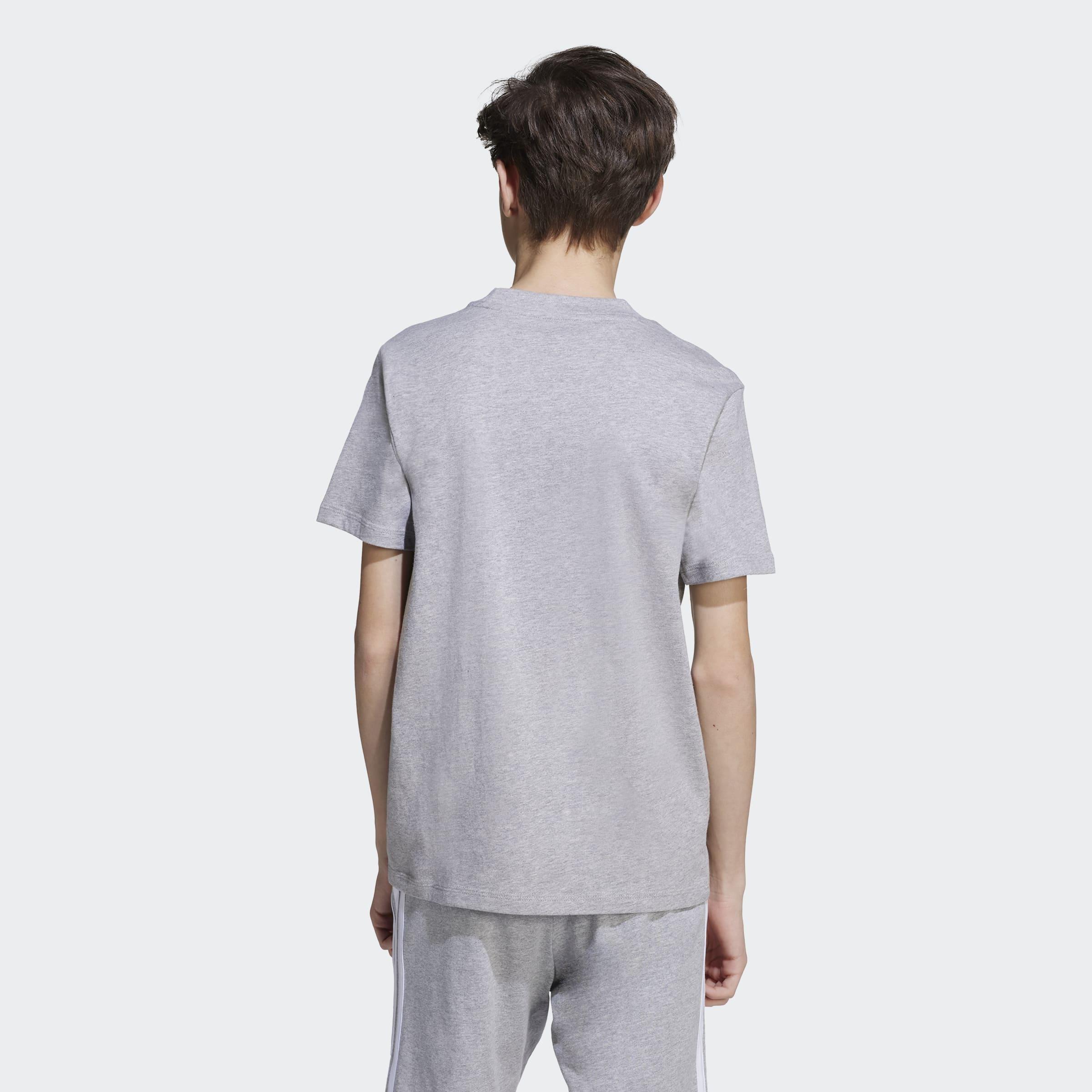 Kids Unisex Essentials T-Shirt, Grey, A701_ONE, large image number 1