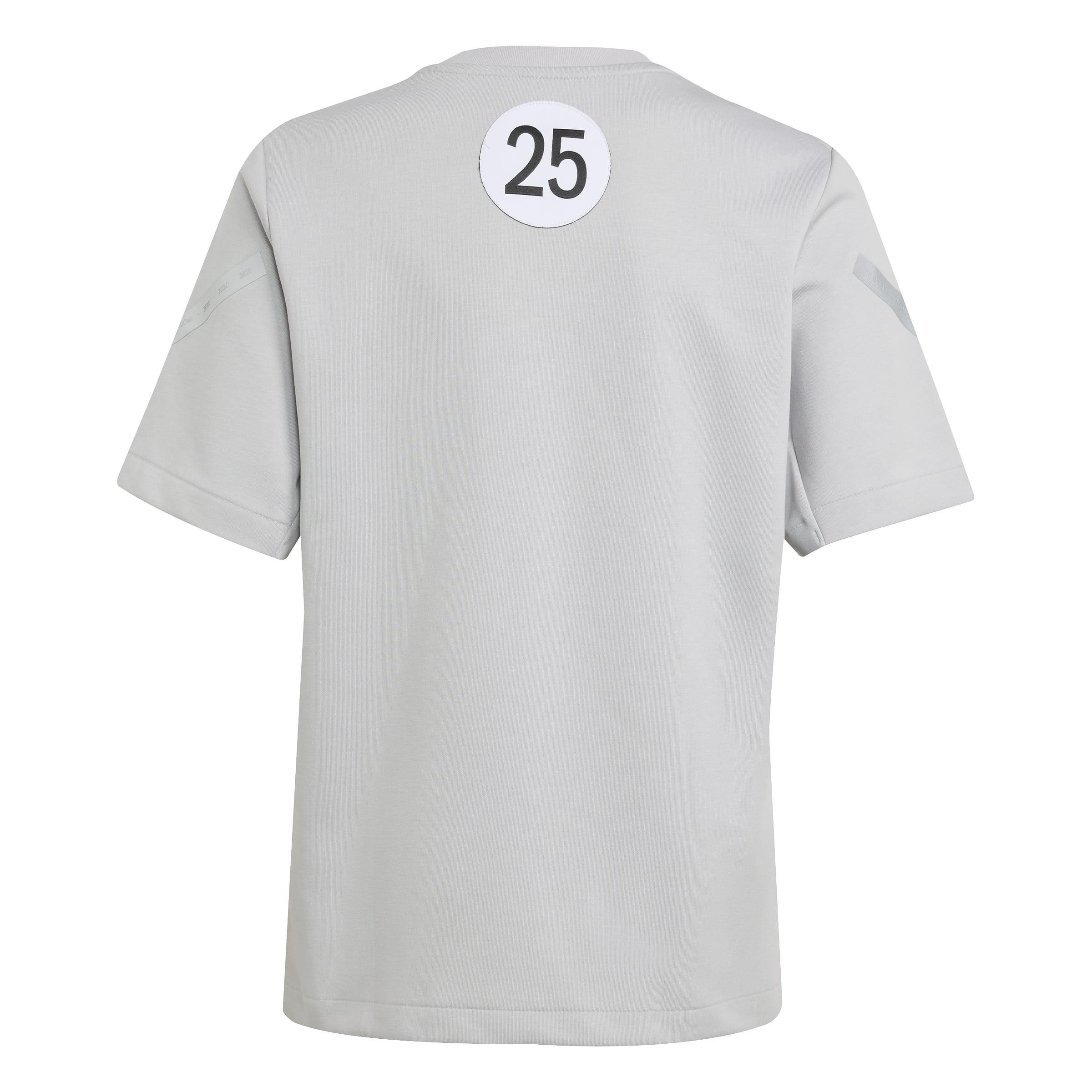 Kids Unisex Mercedes - AMG Petronas Formula One Team Silver Arrows T-Shirt, Grey, A701_ONE, large image number 1