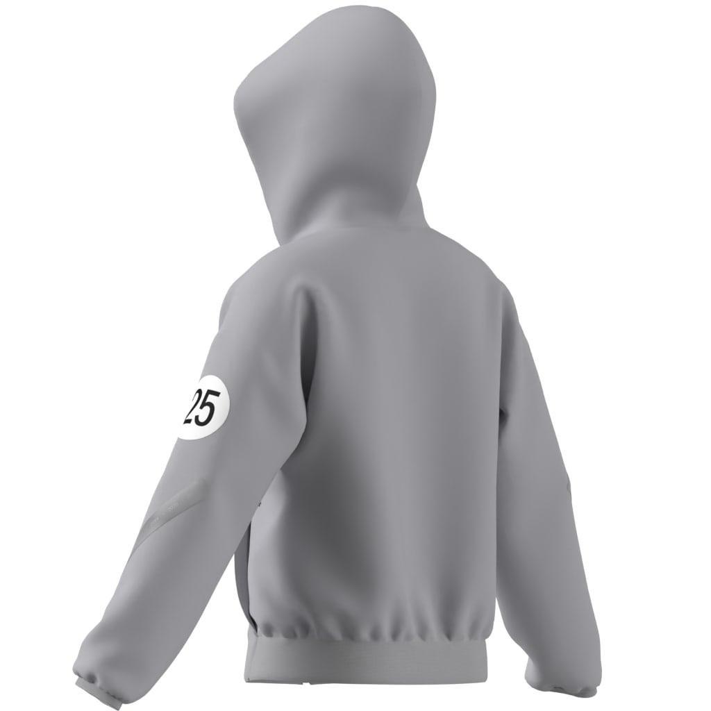 Kids Unisex Mercedes - AMG Petronas Formula One Team Silver Arrows Full-Zip Hood, Grey, , large image number 9