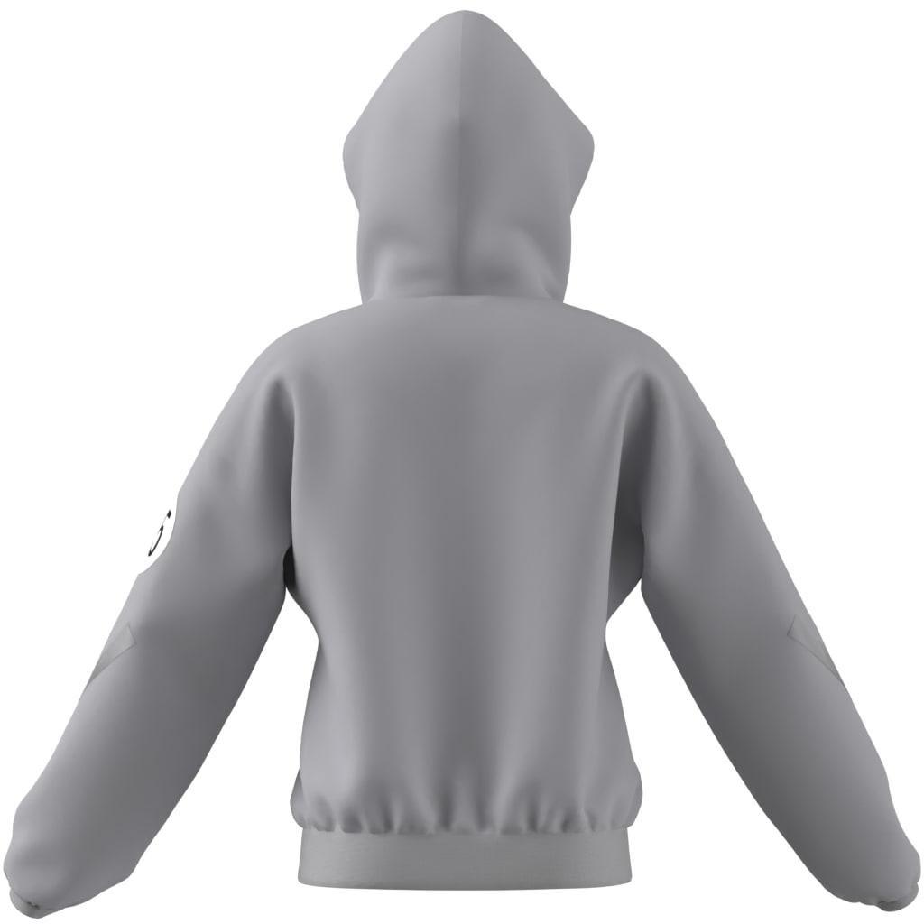 Kids Unisex Mercedes - AMG Petronas Formula One Team Silver Arrows Full-Zip Hood, Grey, , large image number 10