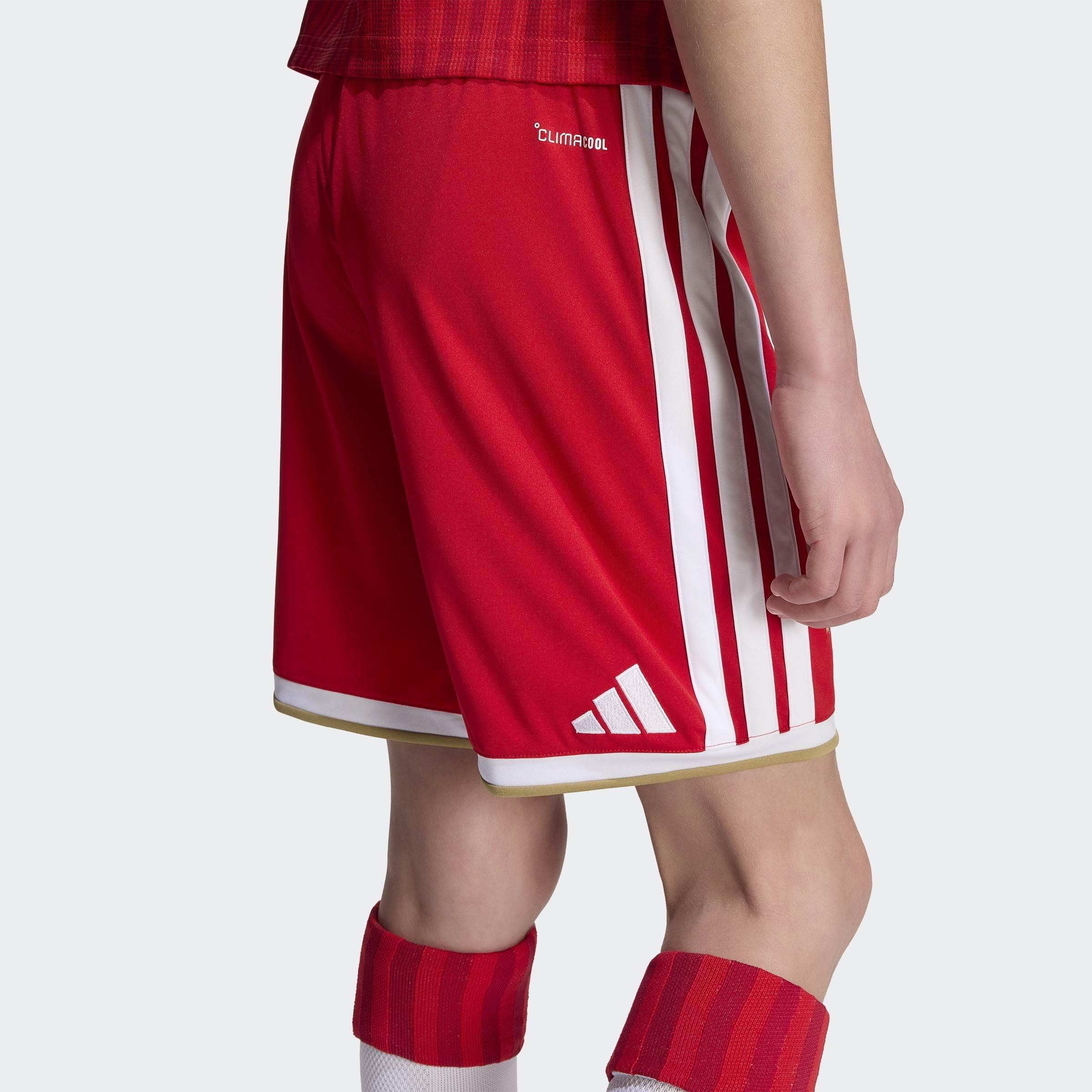 Kids Unisex FC Bayern 26/27 Home Shorts, Red, A701_ONE, large image number 3
