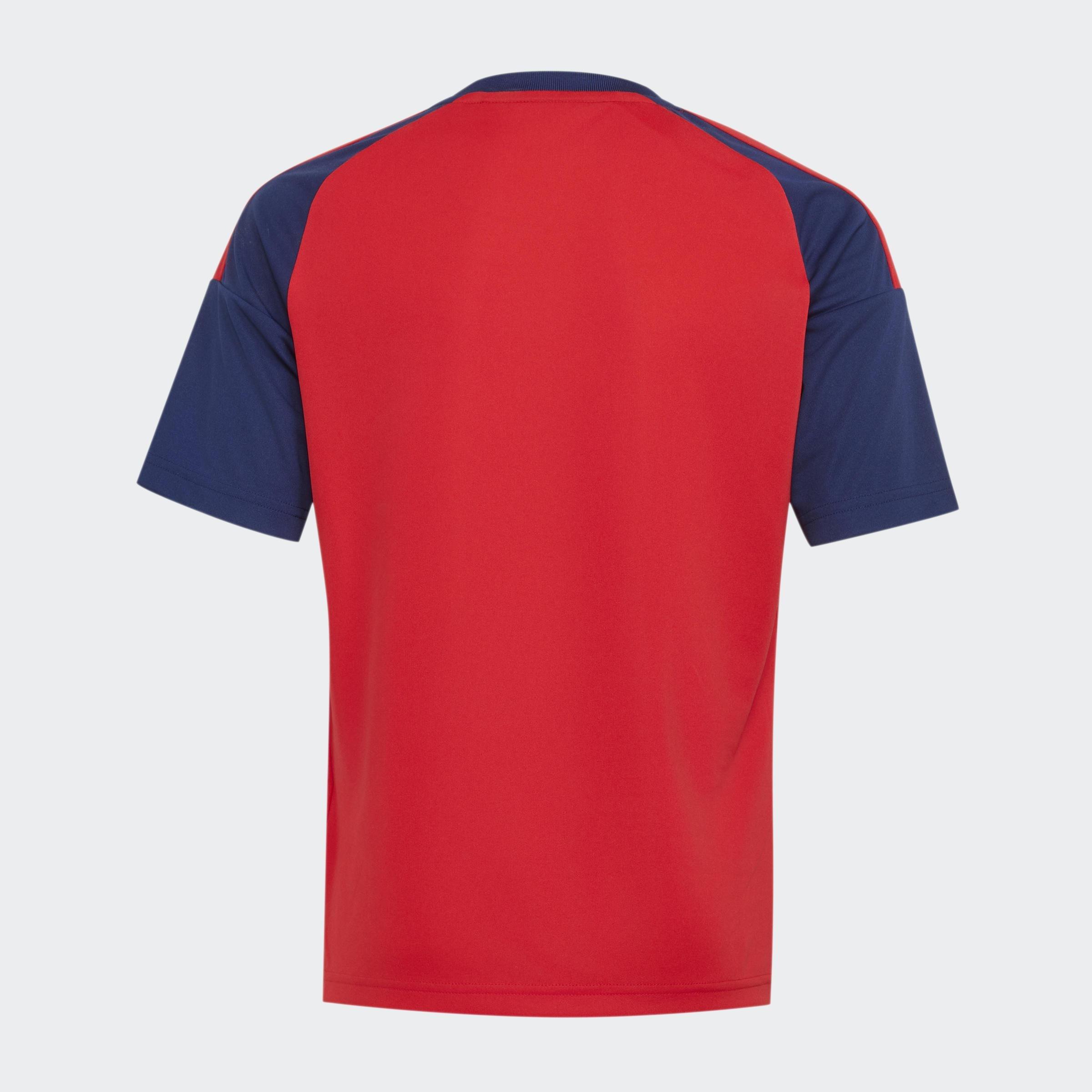 Kids Unisex Spain 26 Home Kids Fan Jersey, Red, A701_ONE, large image number 2