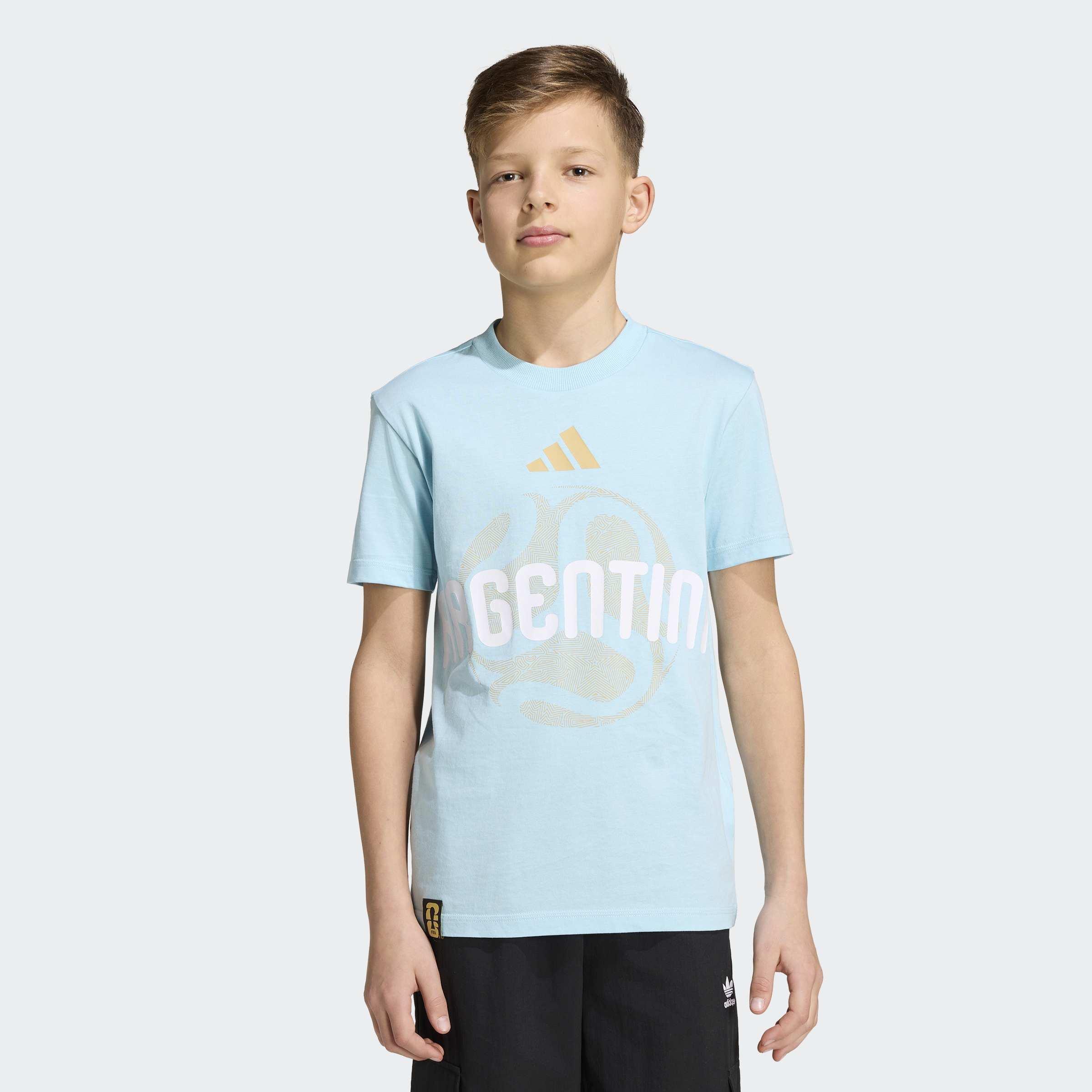 Kids Unisex FIFA World Cup 26 Argentina T-Shirt, Blue, A701_ONE, large image number 6