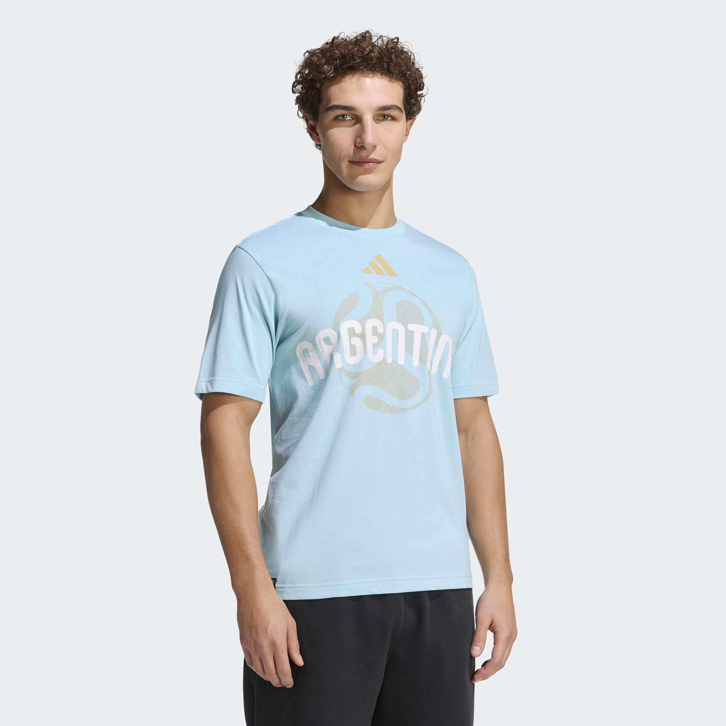 FIFA World Cup 26 Argentina T-Shirt, Blue, A701_ONE, large image number 5