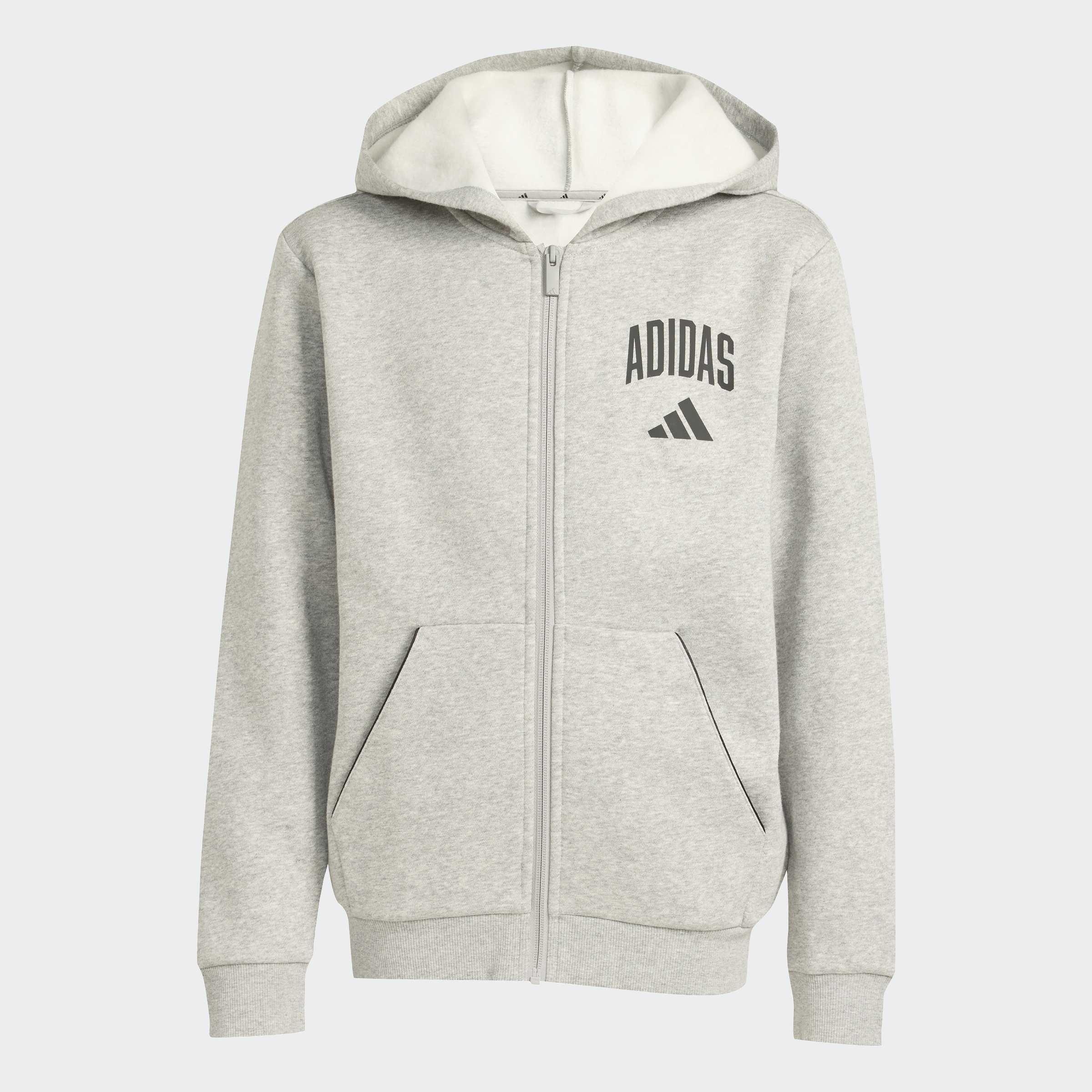 Kids Unisex Seasonals Collegiate Typography Hoody, Grey, A701_ONE, medium