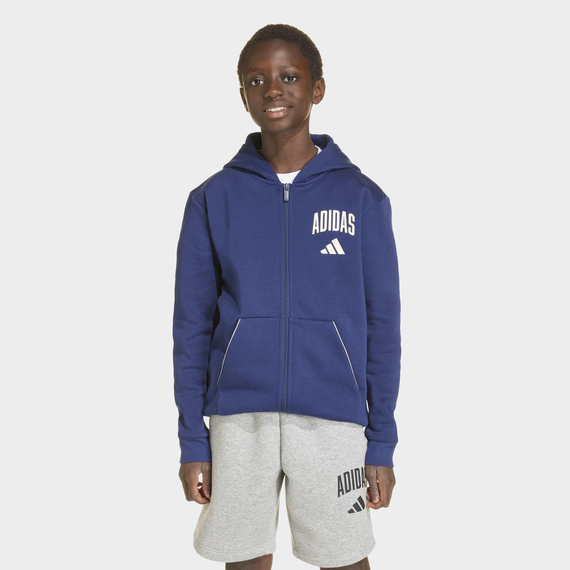 Kids Unisex Seasonals Collegiate Typography Hoody, Blue, A701_ONE, large image number 4