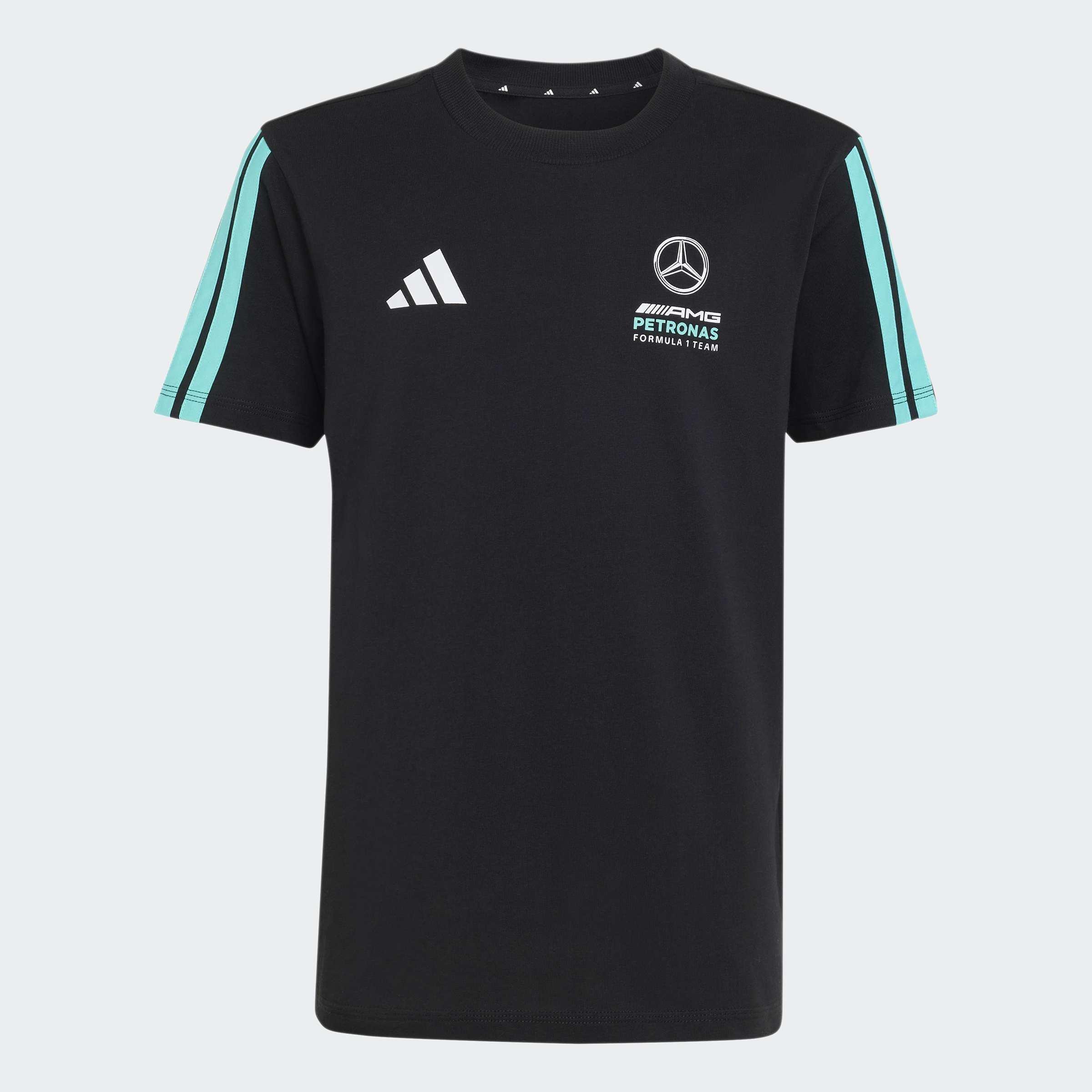 Kids Unisex Mercedes - Amg Petronas Formula 1 Team Dna T-Shirt, Black