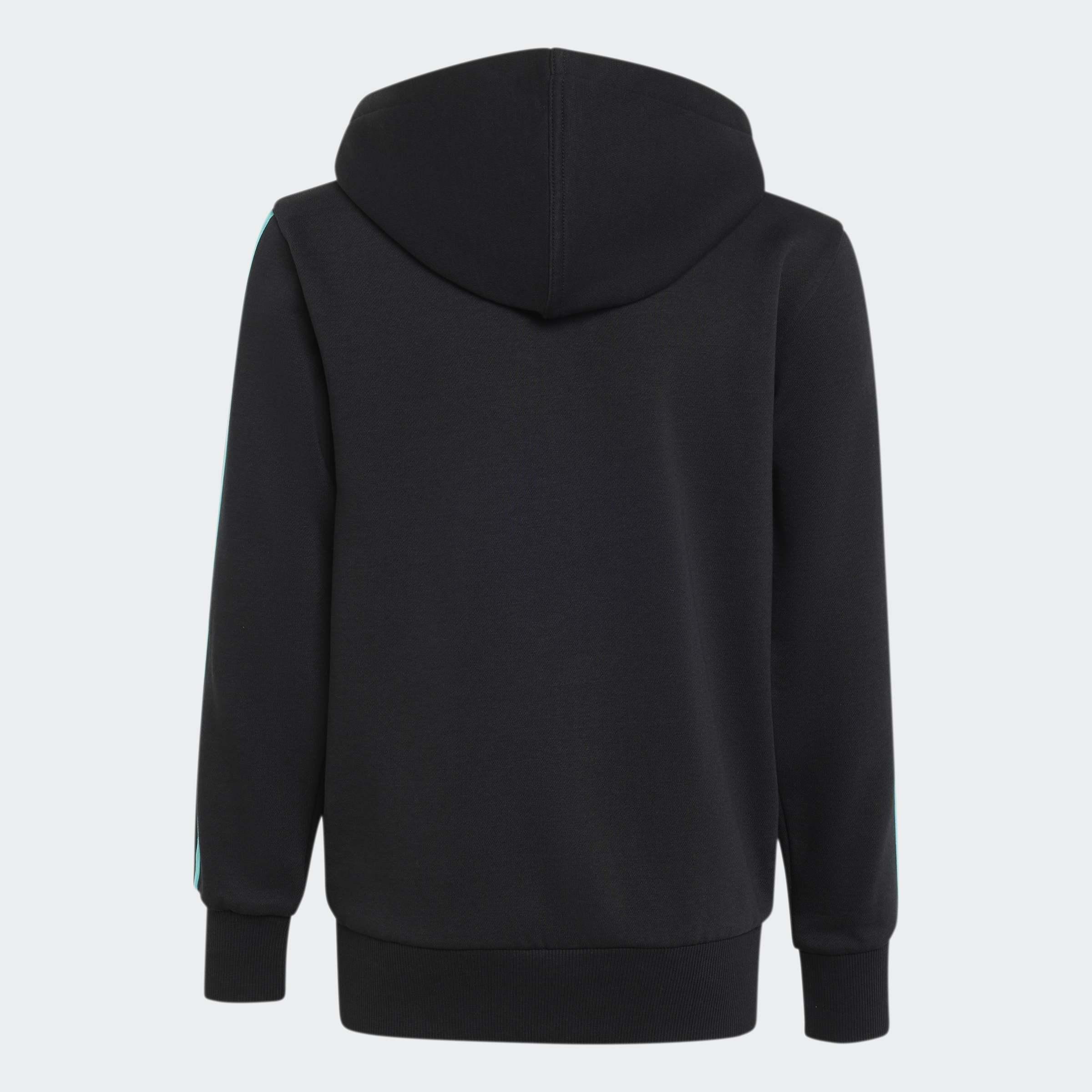 Kids Unisex Mercedes - Amg Petronas Formula 1 Team Dna Full Zip Hoody, Black, A701_ONE, medium