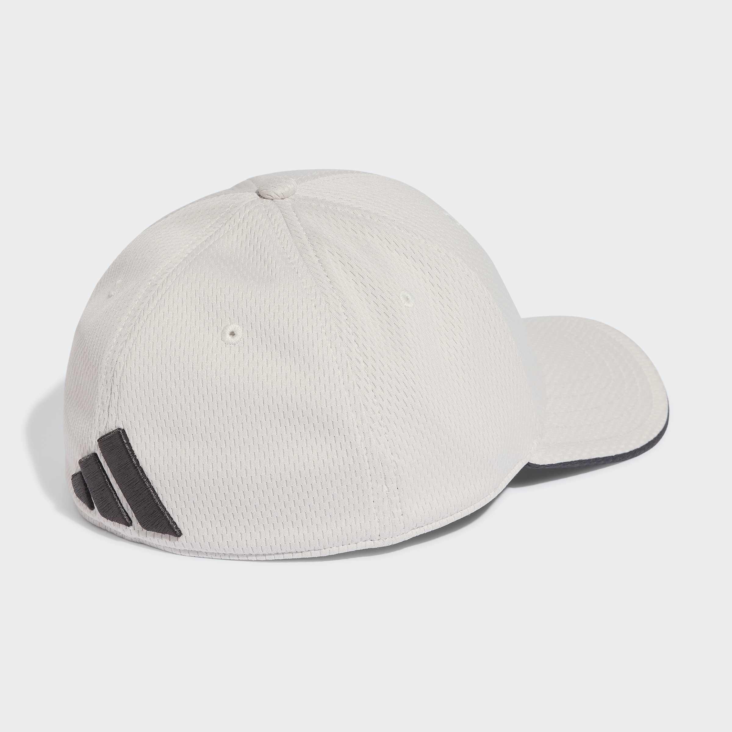 Unisex Audi Revolut F1 Team Dna Cap, Grey