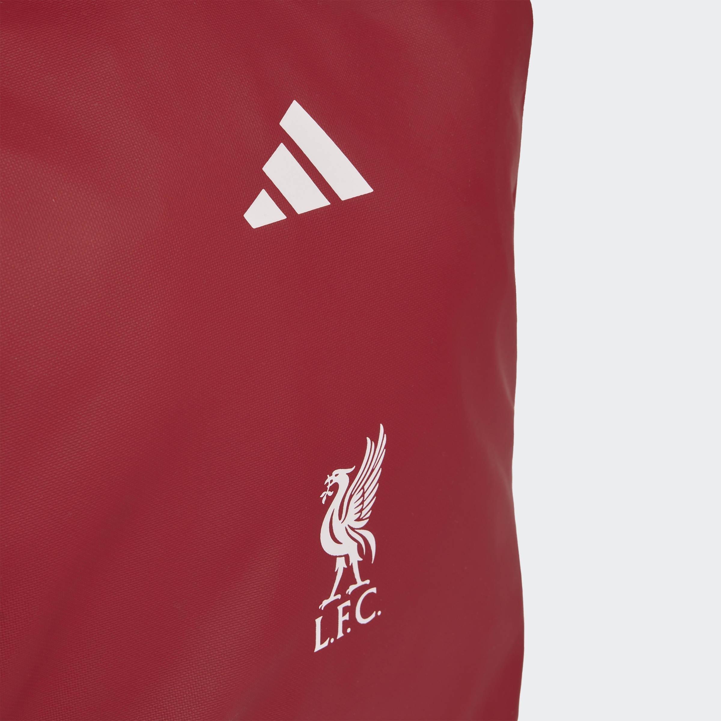Unisex Liverpool Fc Backpack, Burgundy, A701_ONE, large image number 4