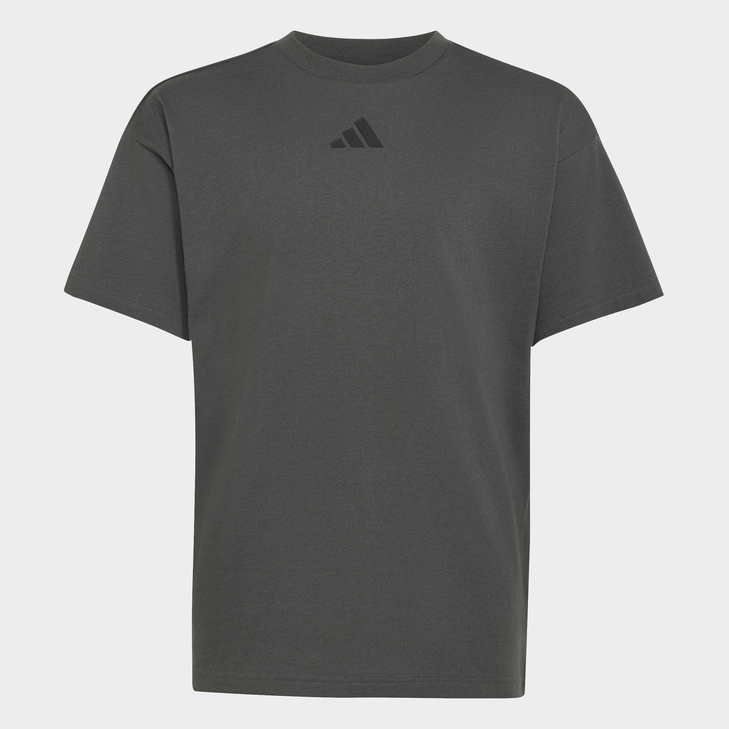 Kids Unisex Essentials T-Shirt, Grey